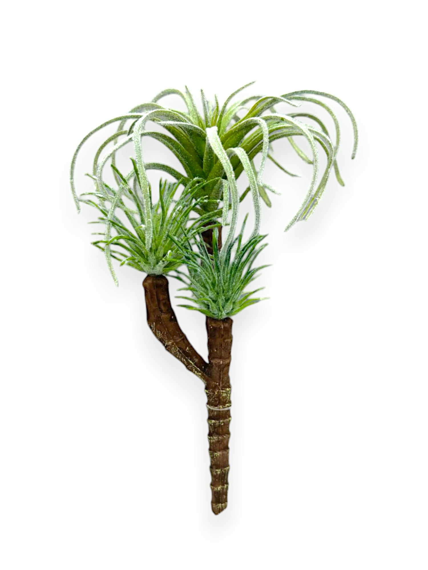 SUCCULENT PICKX3 8.5"