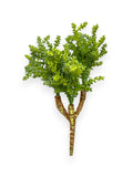 SUCCULENT PICK 10"