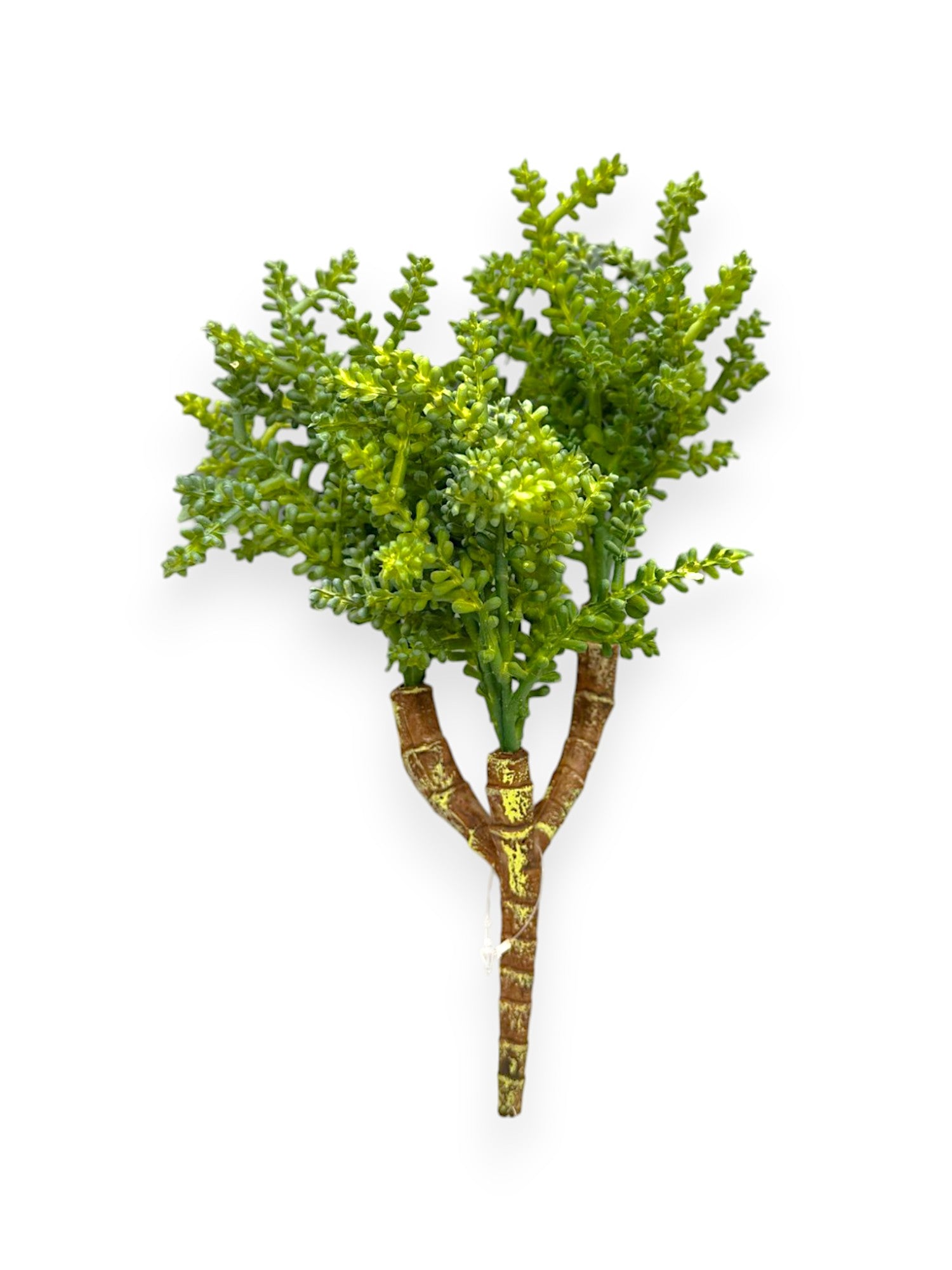 SUCCULENT PICK 10"