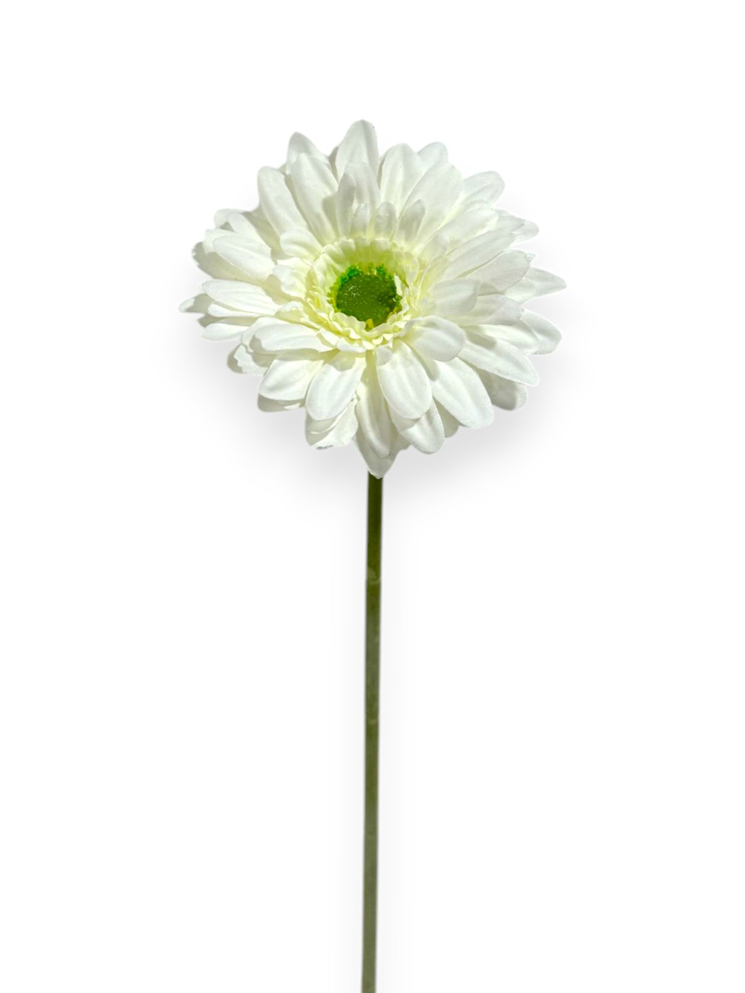 GERBERA DAISY 21.5"