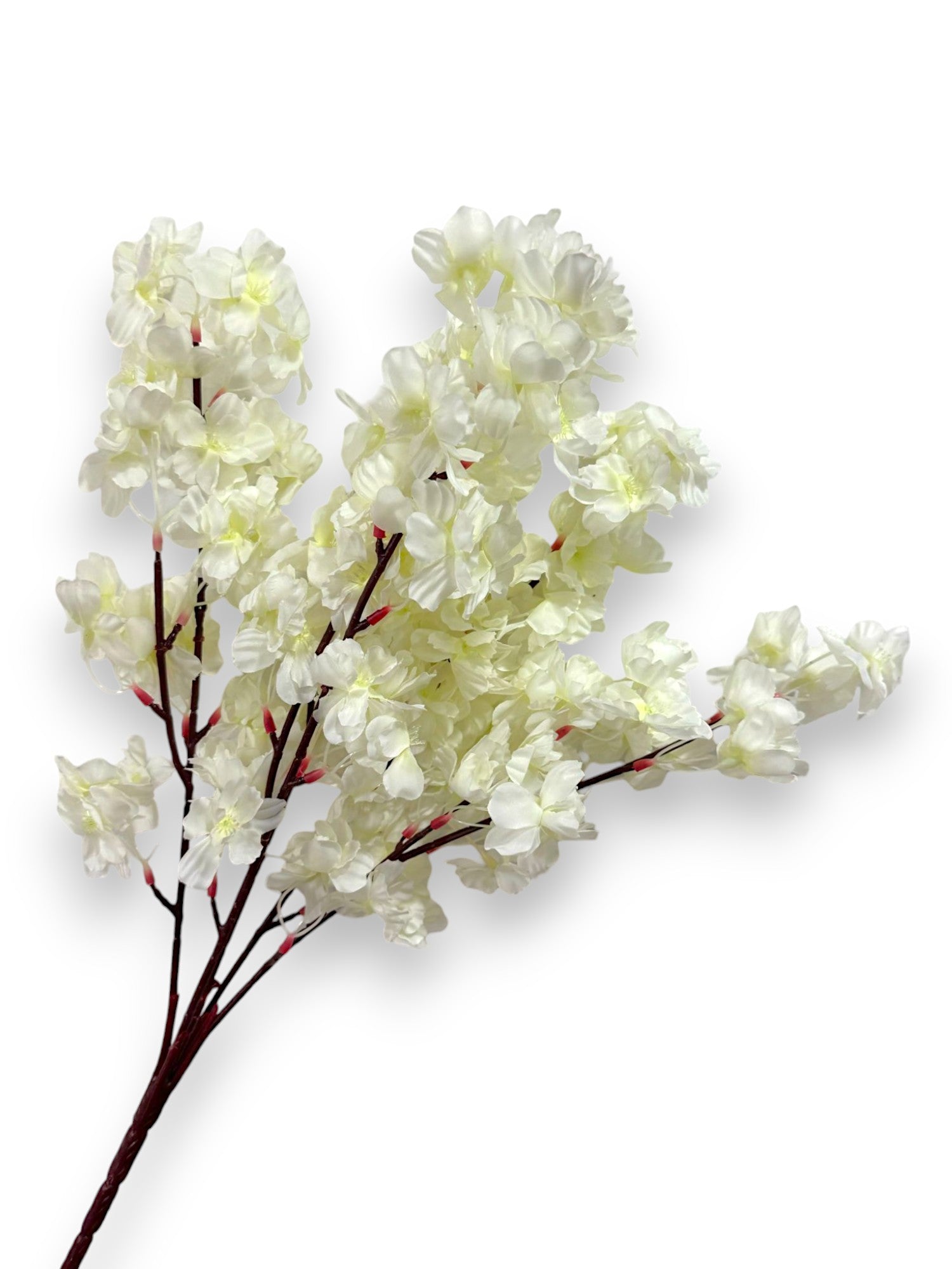 CHERRY BLOSSOM BUSH X5