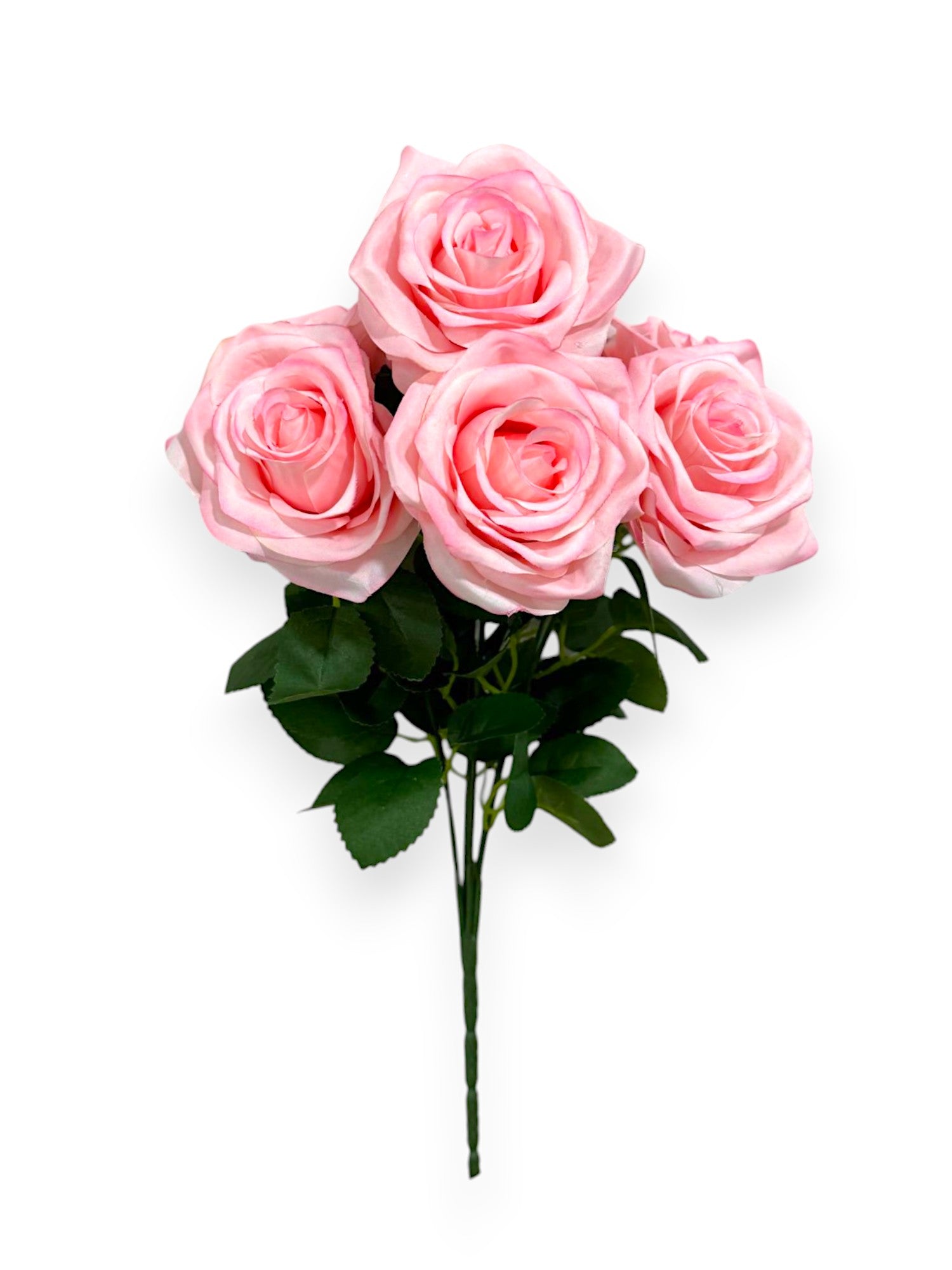 ROSE BUSH X7