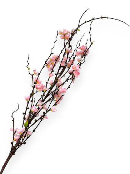 CHERRY BLOSSOM 57"