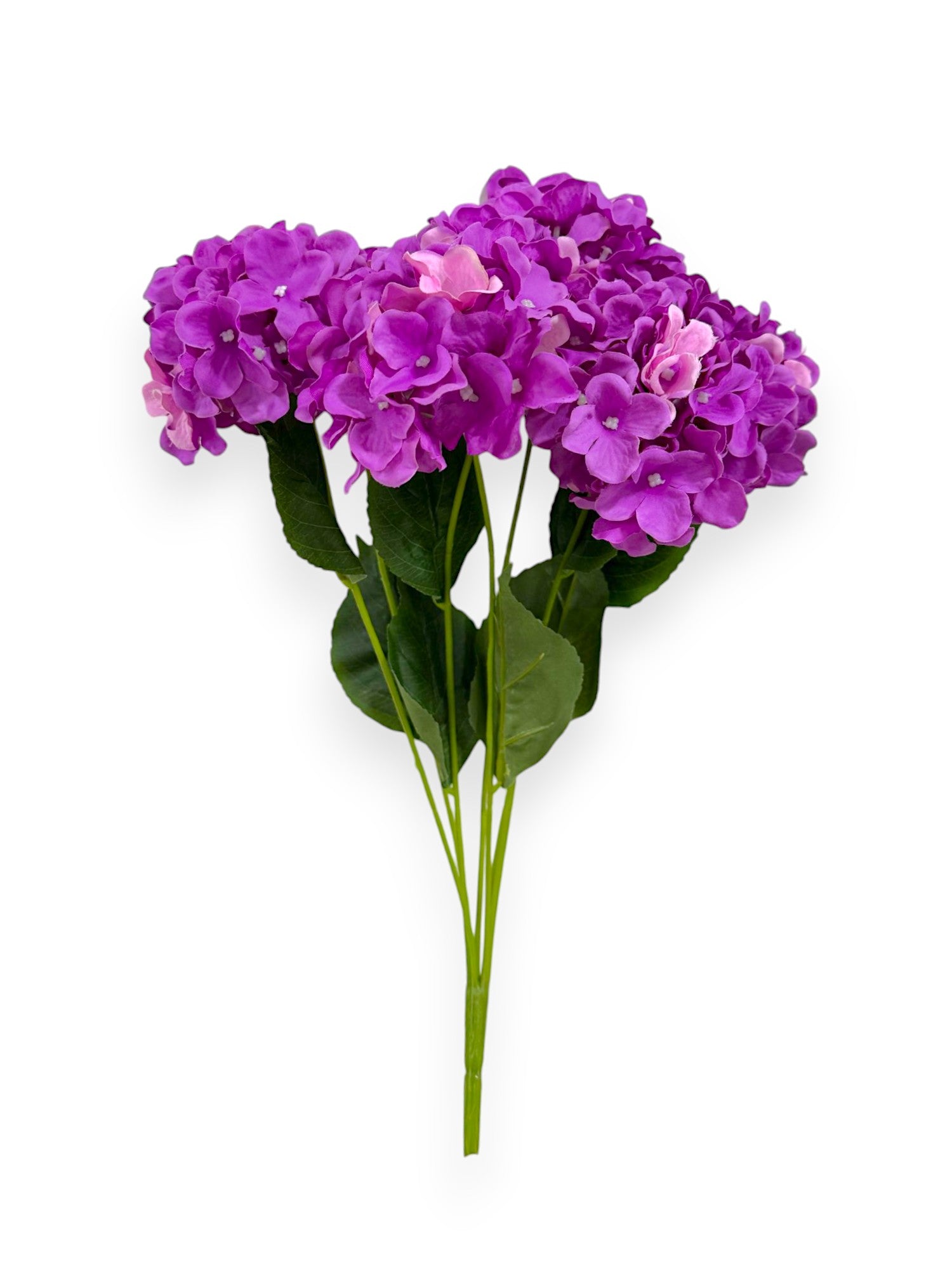 HYDRANGEA BUSH X7