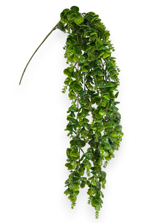 EUCALYPTUS HANGING BHX4