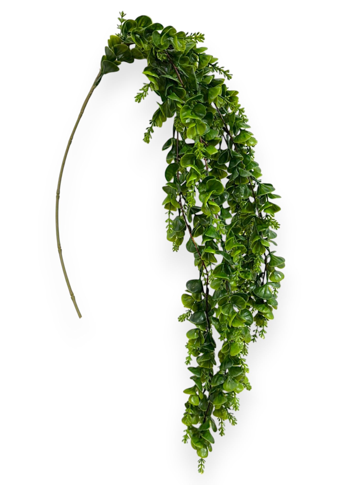 Eucalyptus Hanging Bush 42"