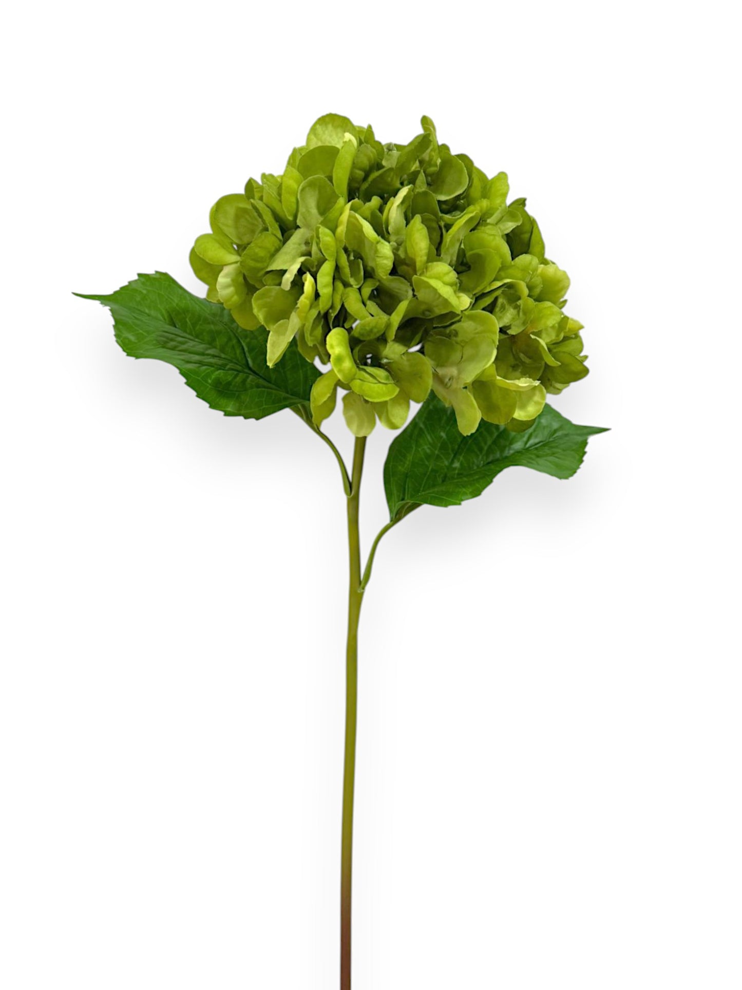 RT.HYDRANGEA STEM 22" NAT TOUCH