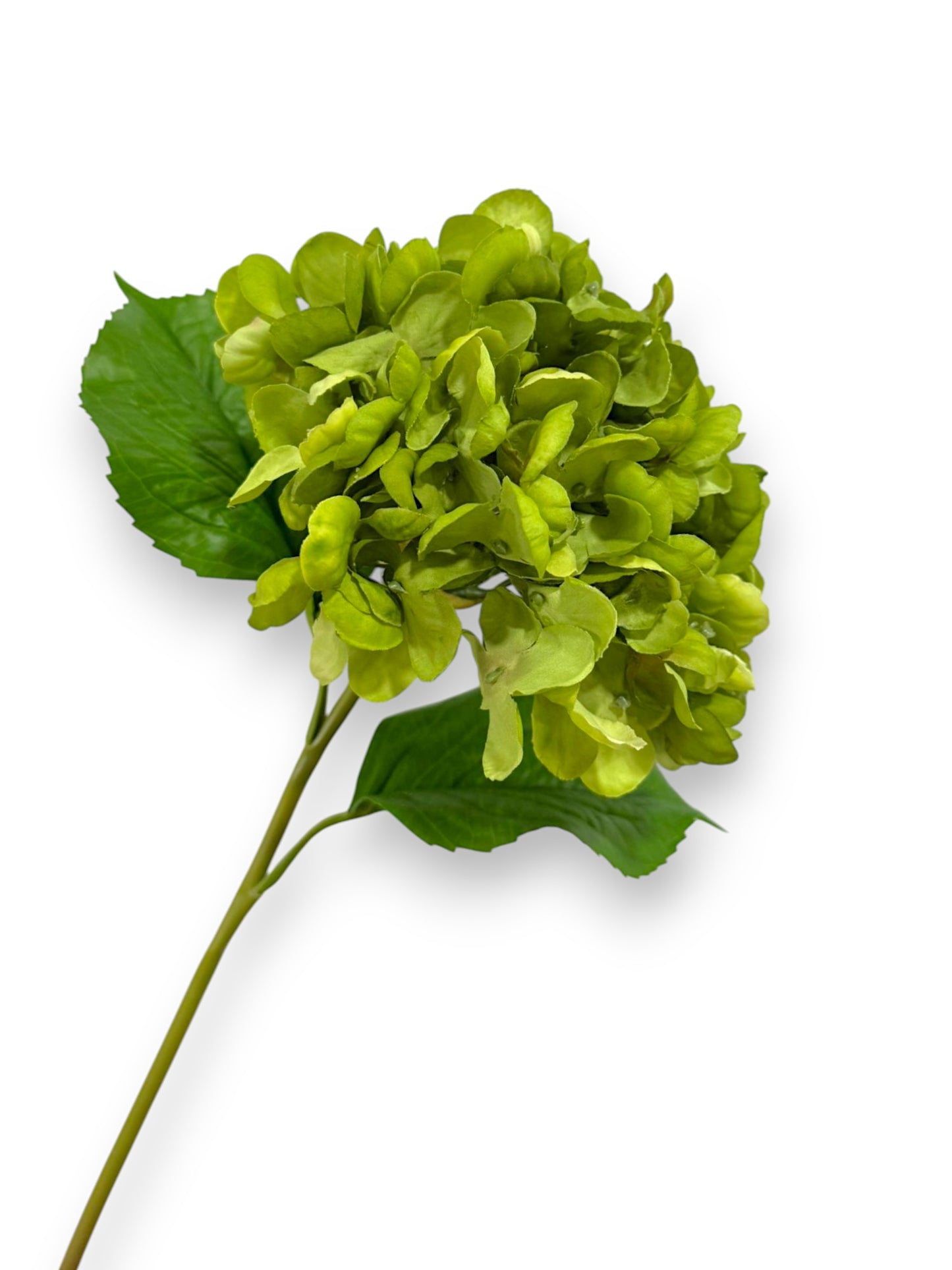 RT.HYDRANGEA STEM 22" NAT TOUCH
