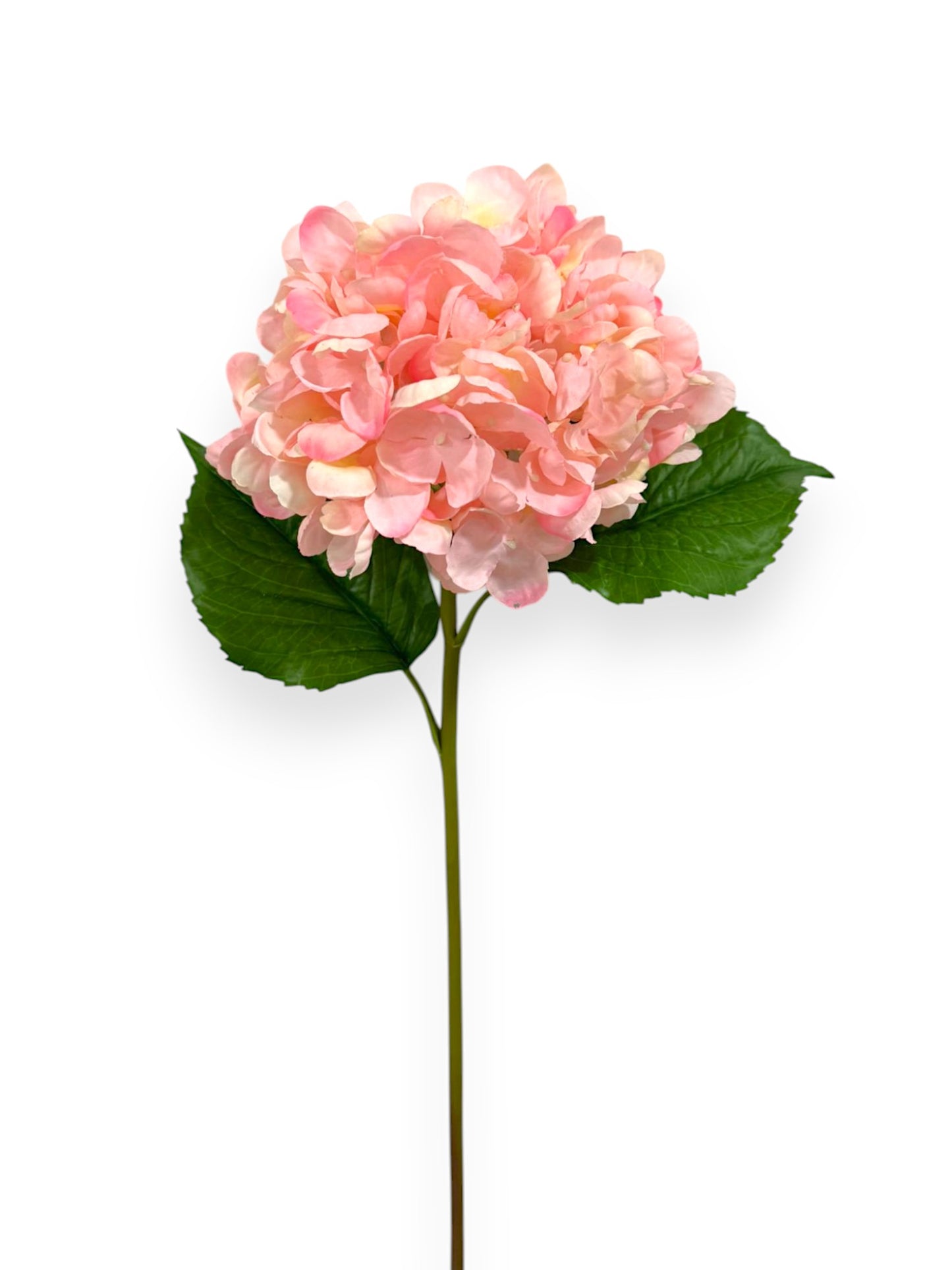 RT.HYDRANGEA STEM 22" NAT TOUCH