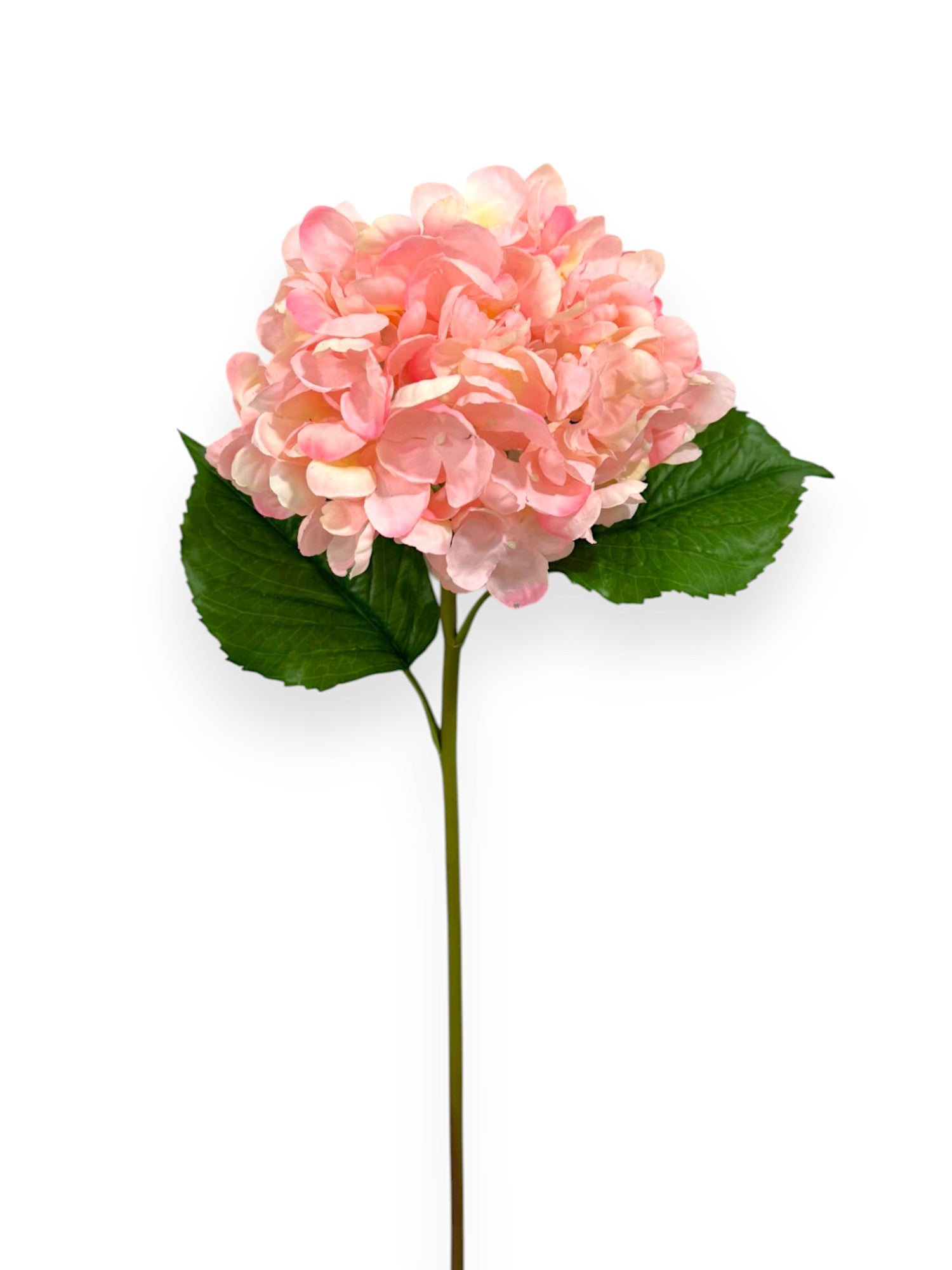 RT.HYDRANGEA STEM 22" NAT TOUCH
