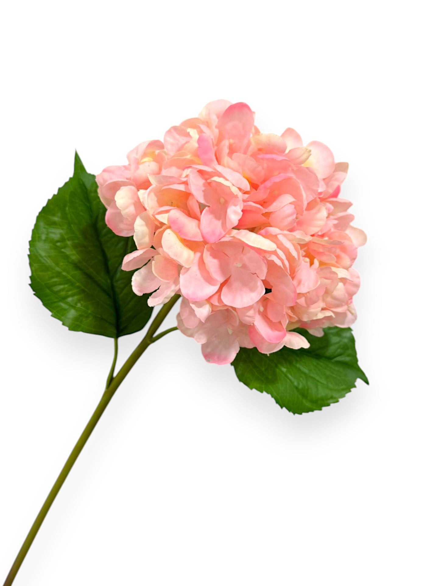 RT.HYDRANGEA STEM 22" NAT TOUCH