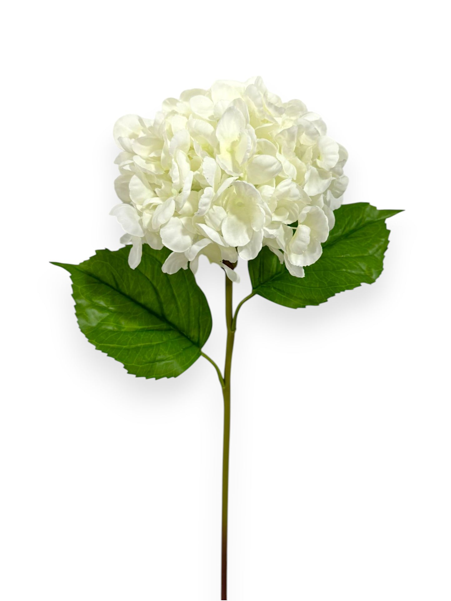 RT.HYDRANGEA STEM 22" NAT TOUCH