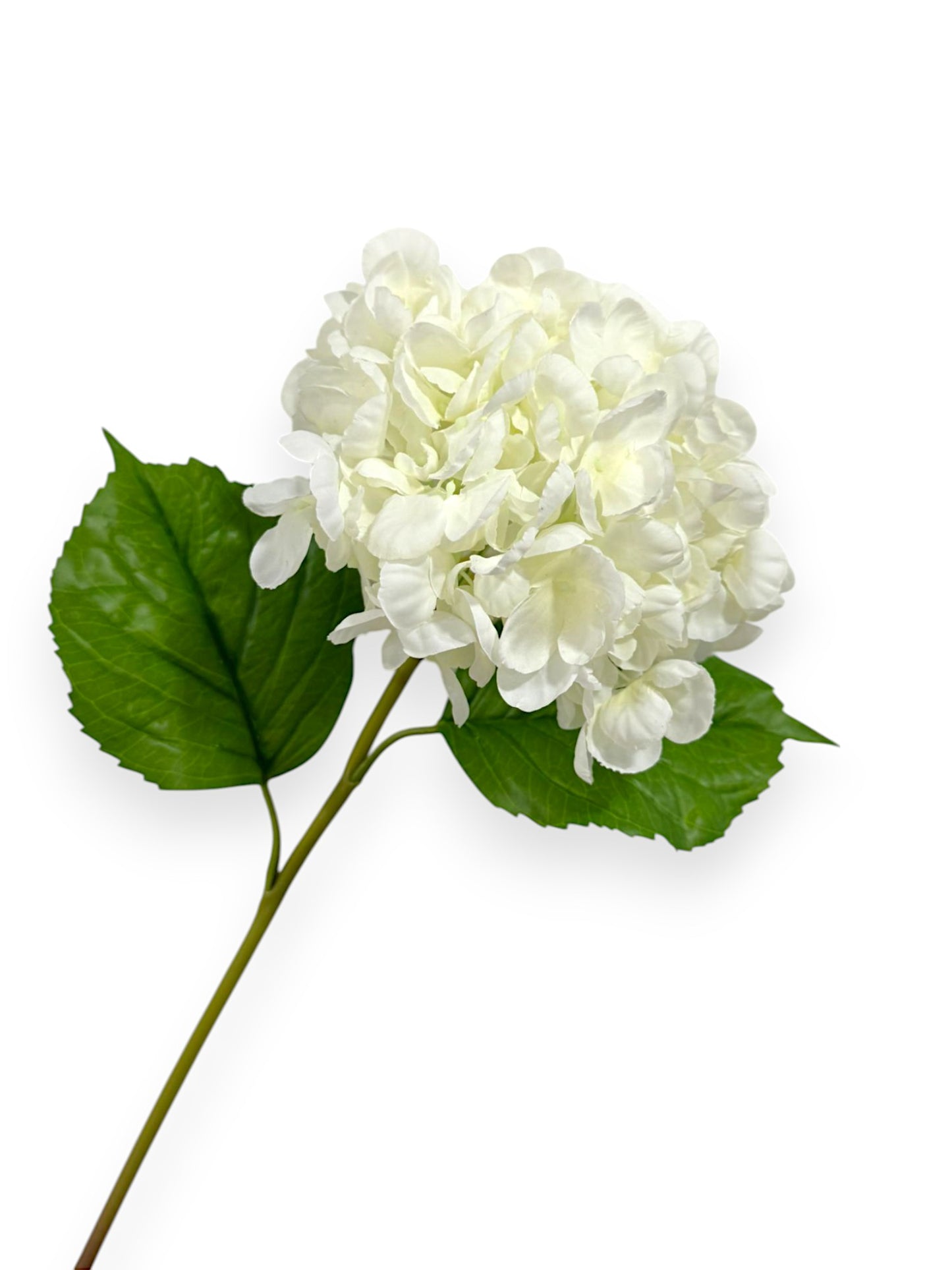 RT.HYDRANGEA STEM 22" NAT TOUCH