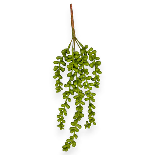 SUCCULENT SEDUM 12"