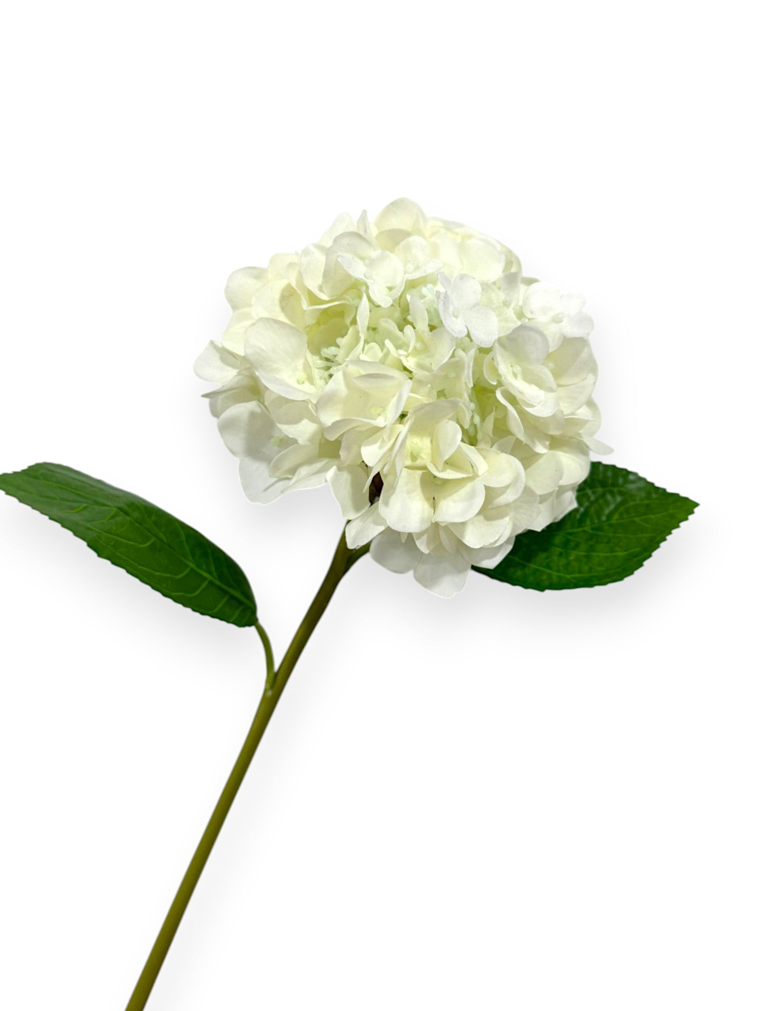 RT. HYDRANGEA STEM 21"