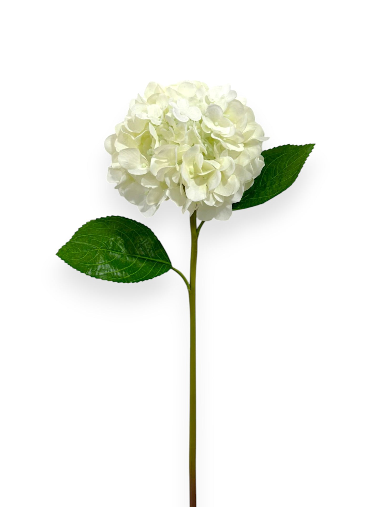 RT. HYDRANGEA STEM 21"