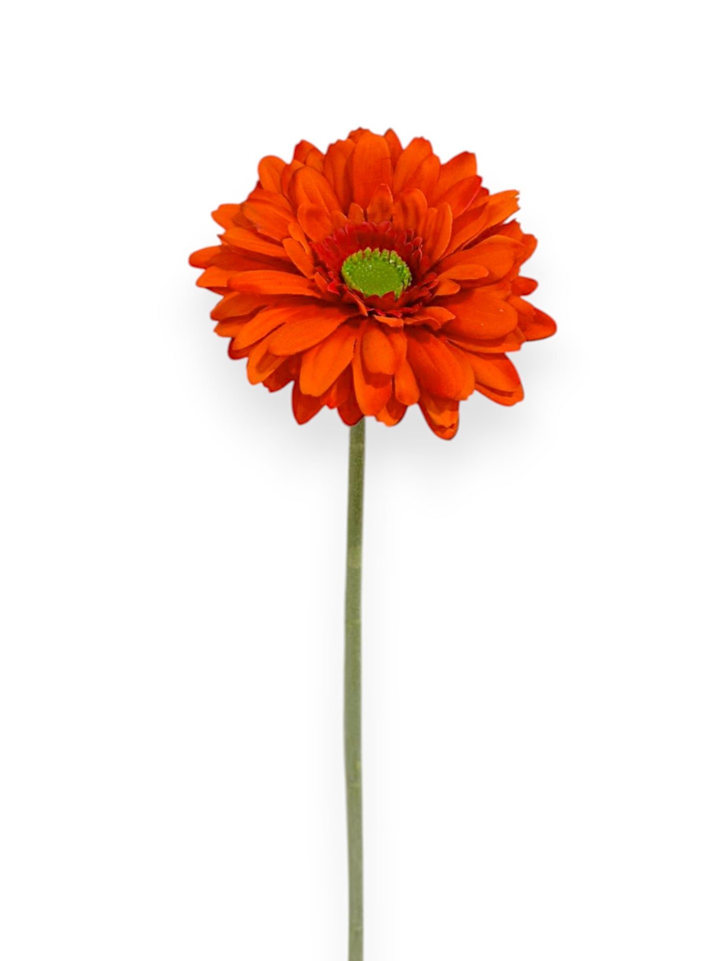 GERBERA SPRAY 57CM