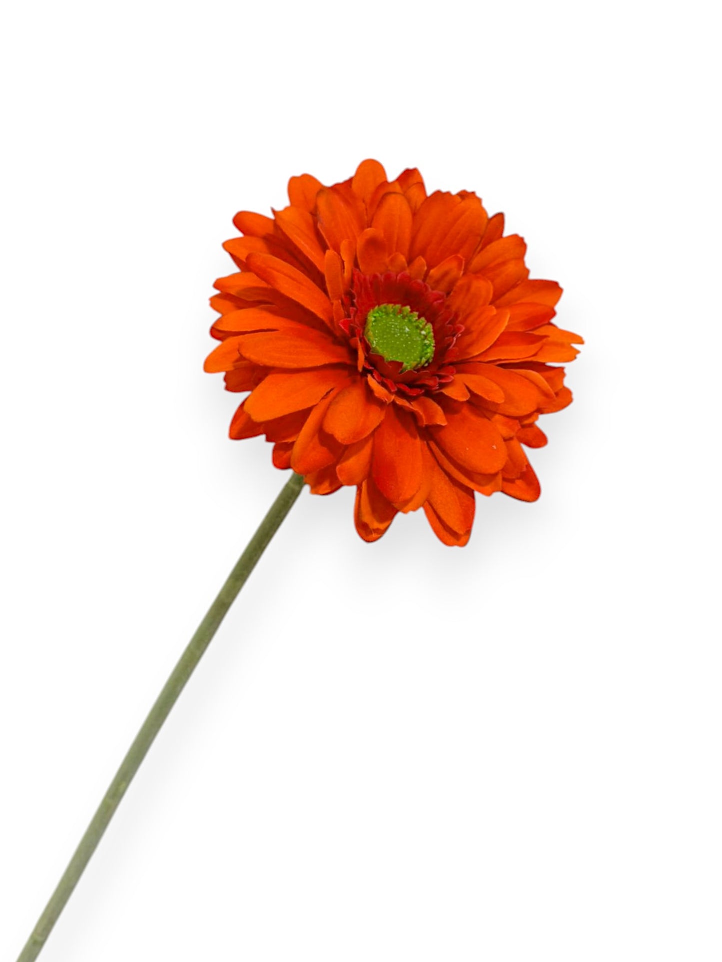 GERBERA SPRAY 57CM