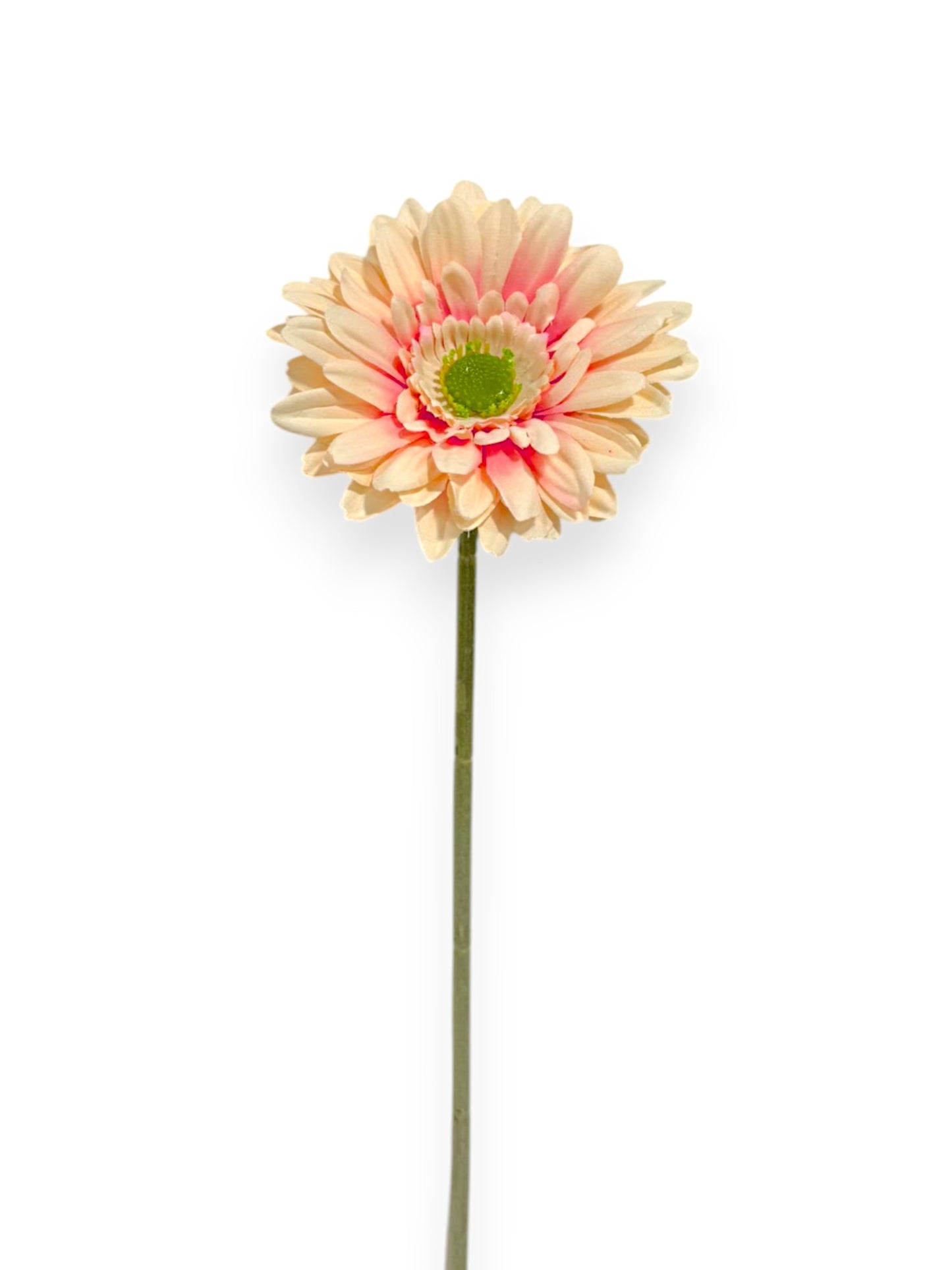 GERBERA SPRAY 57CM