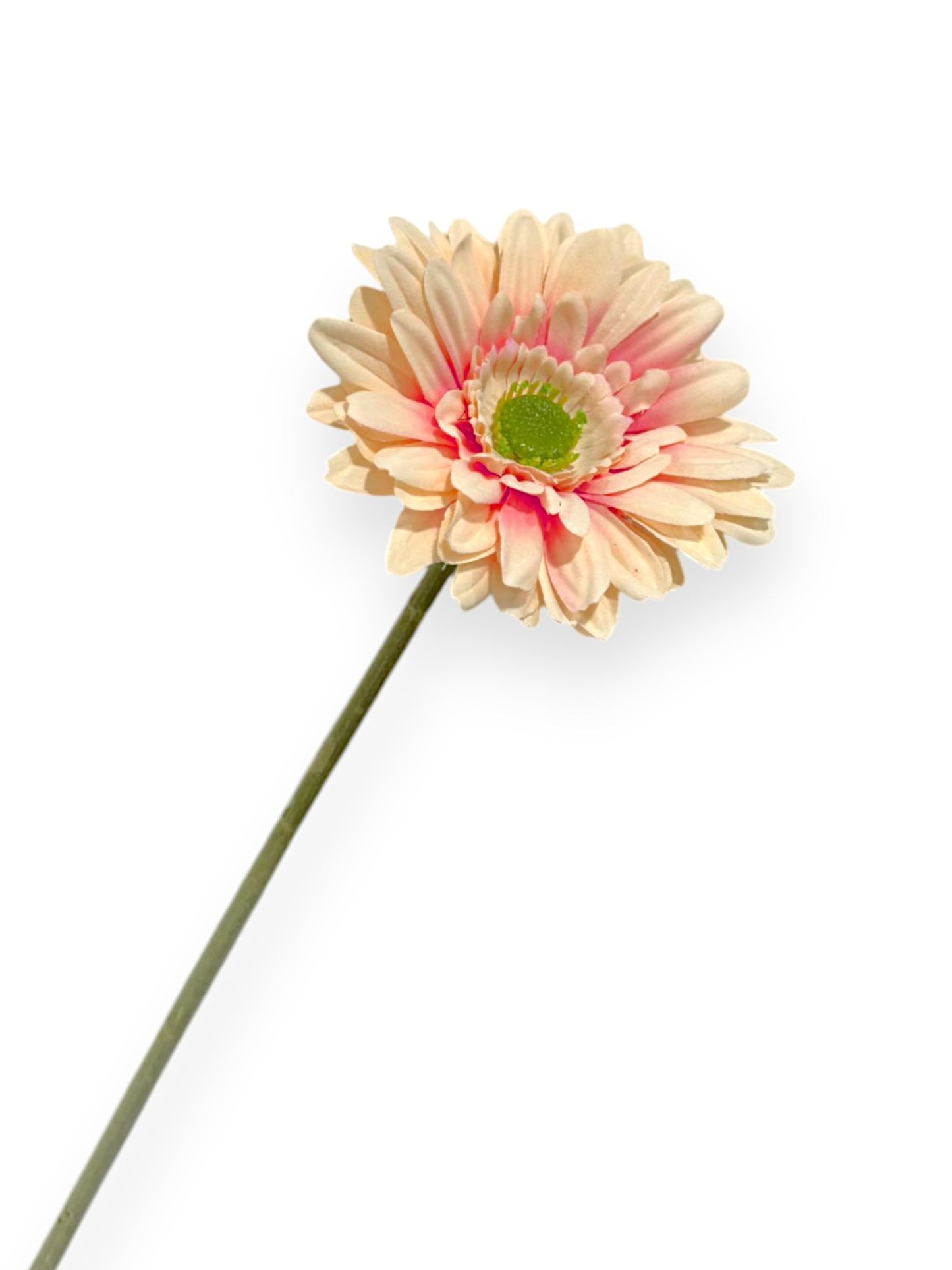 GERBERA SPRAY 57CM