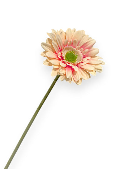 GERBERA SPRAY 57CM