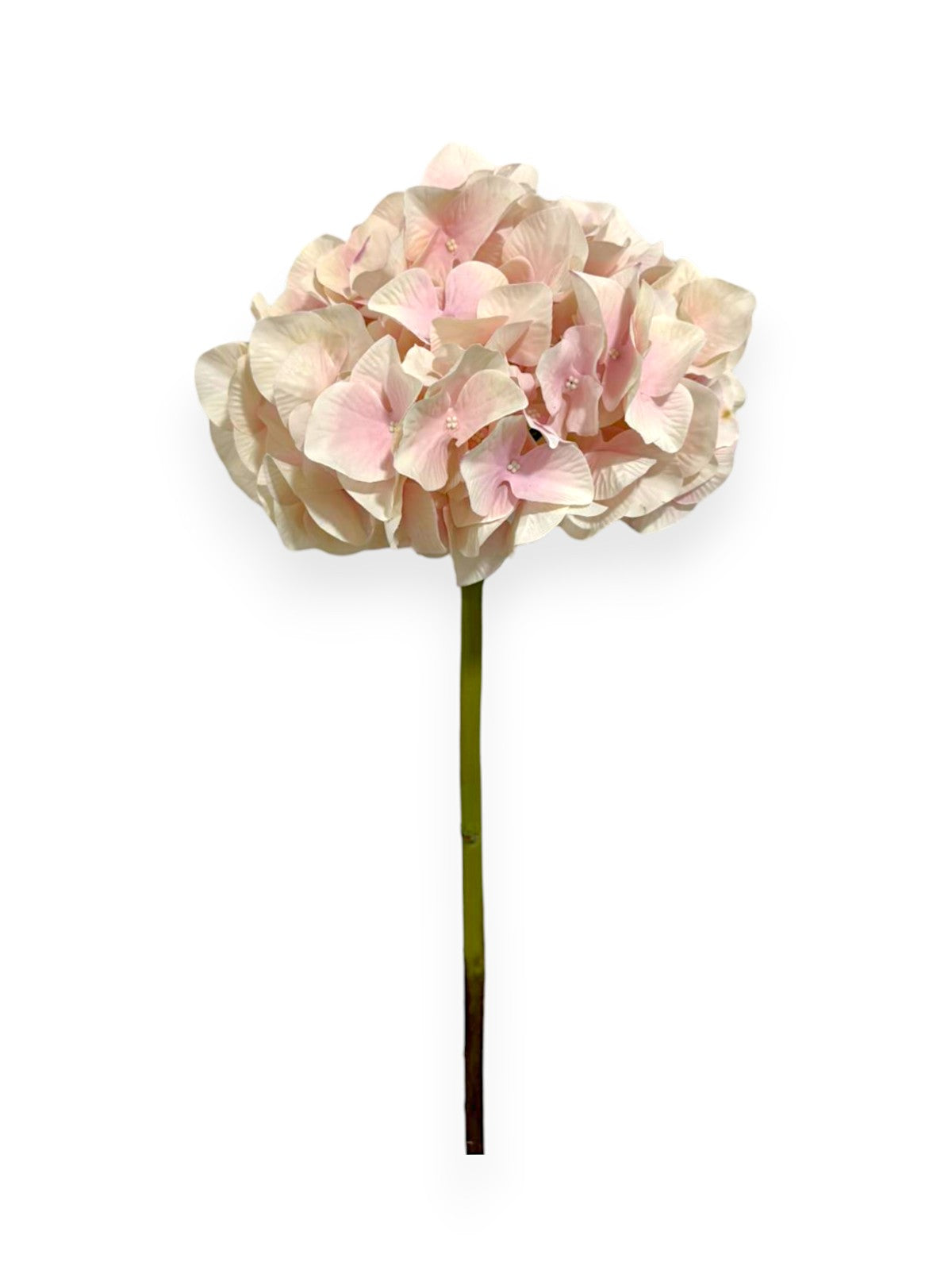 HYDRANGEA SHORT STEM 19"