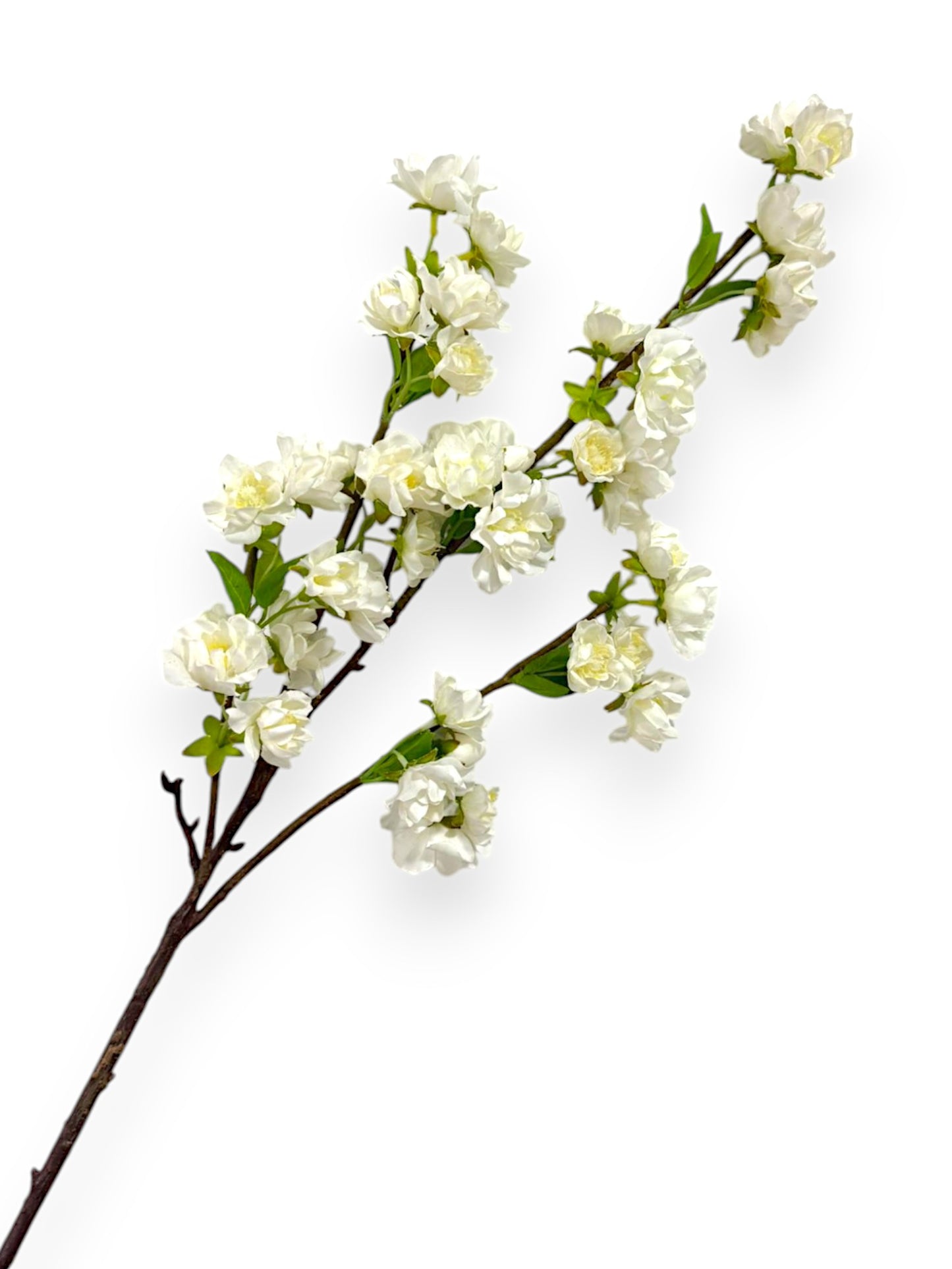 CHERRY BLOSSOM NAT.TOUCH