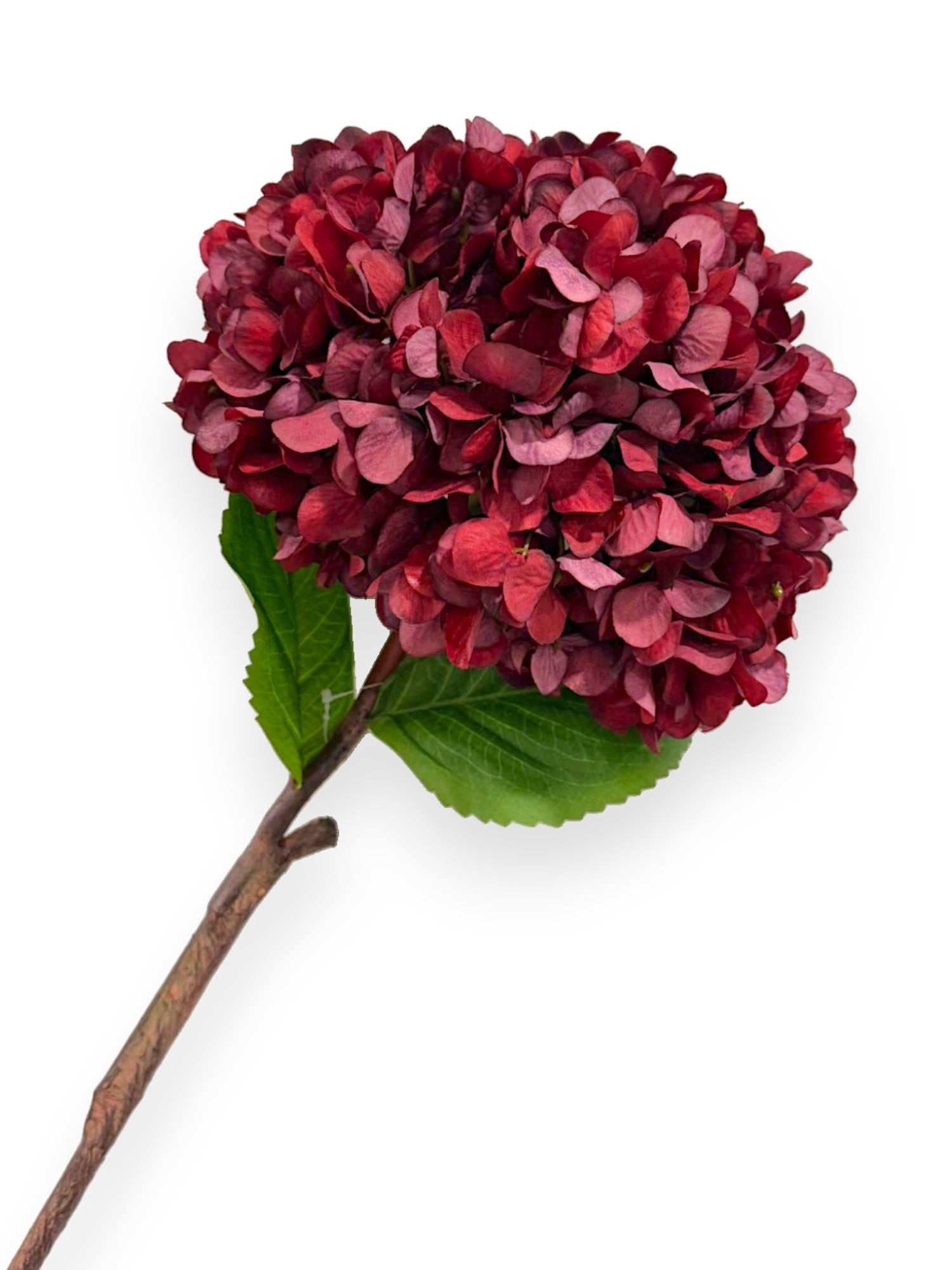 RUSTIC HYDRANGEA RD