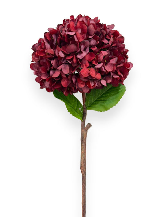 RUSTIC HYDRANGEA RD