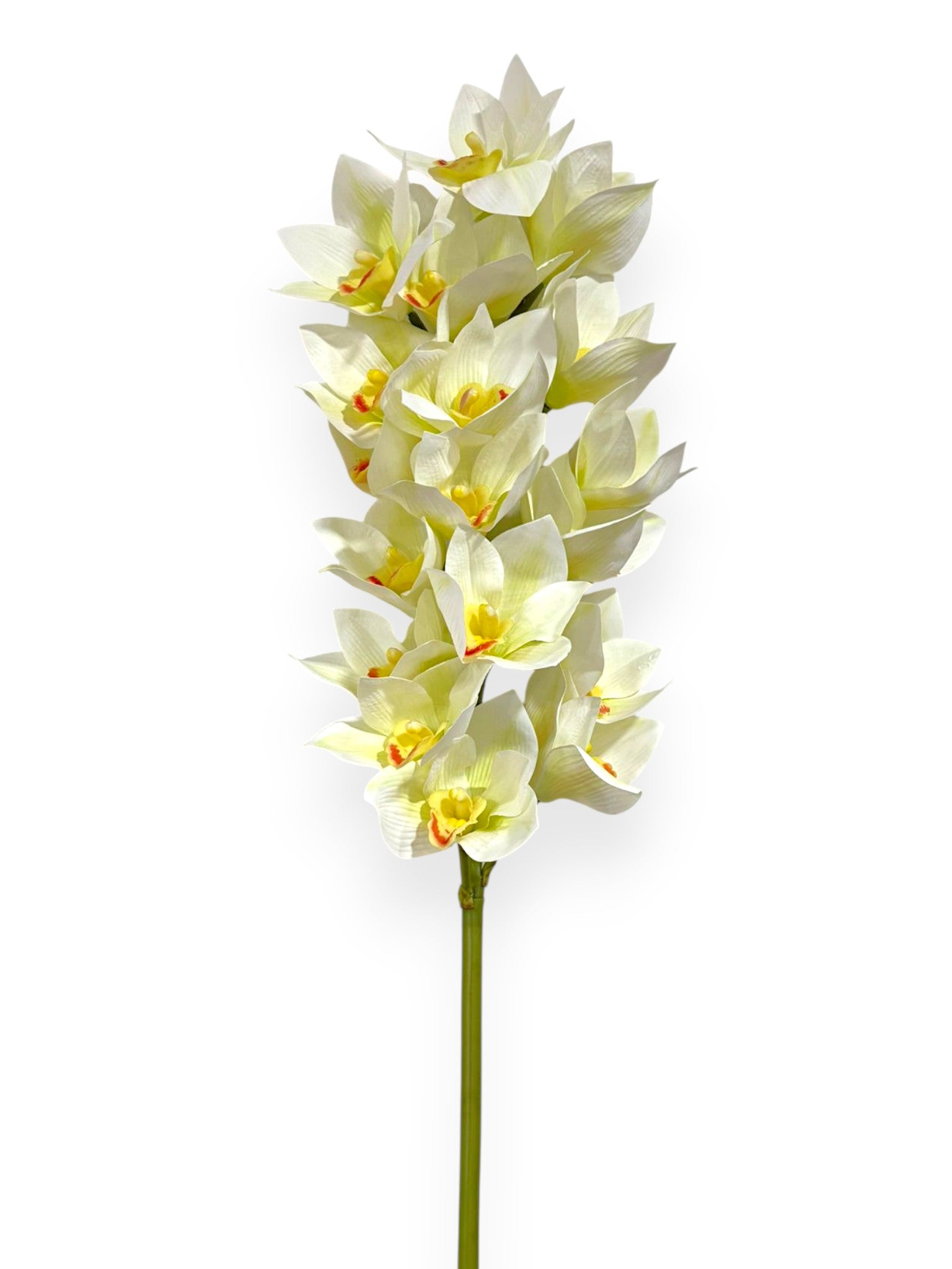 Cymbidium Orchid Stem 42"