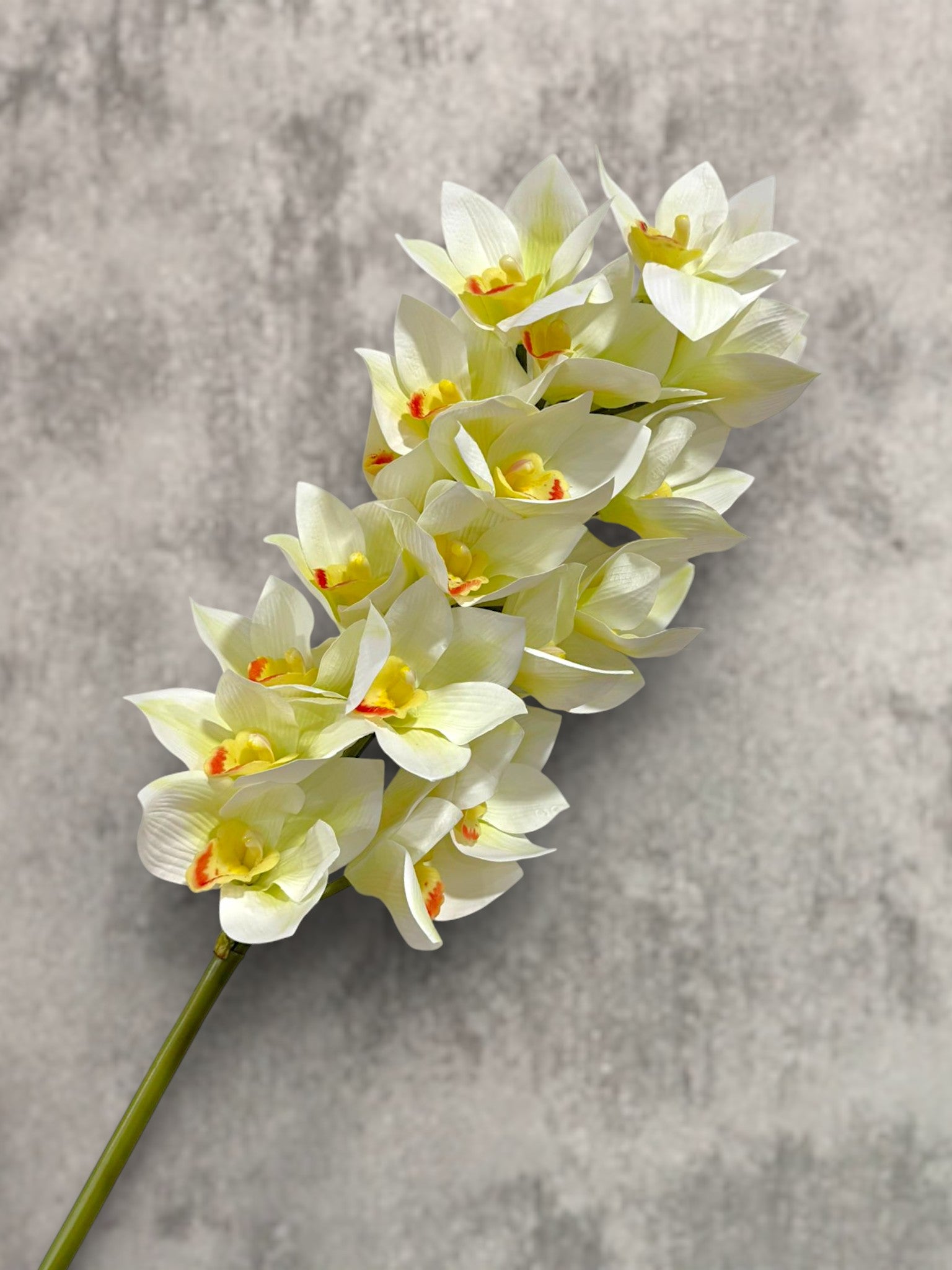 Cymbidium Orchid Stem 42"