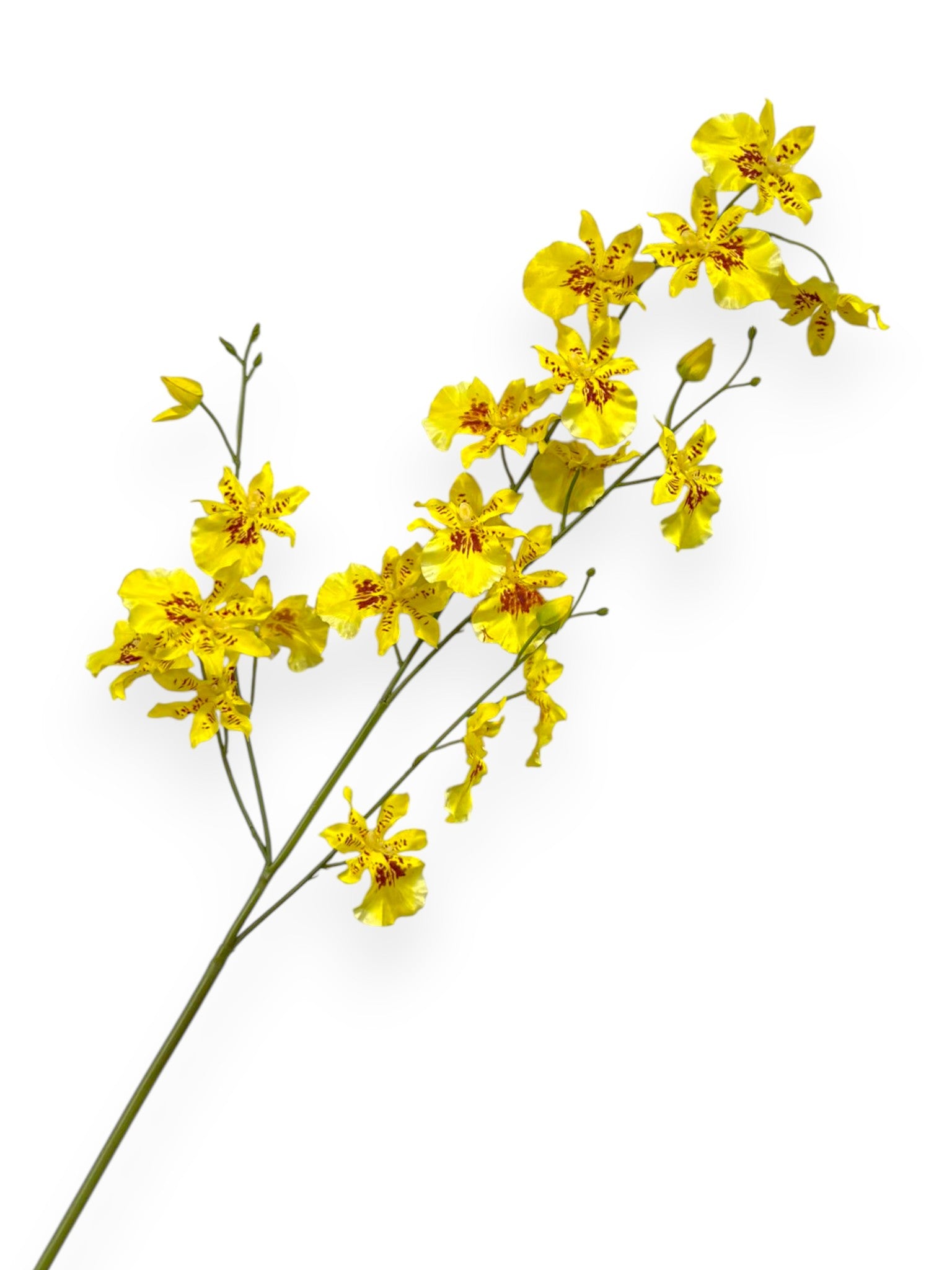 Orchid Dancing Spray 33"