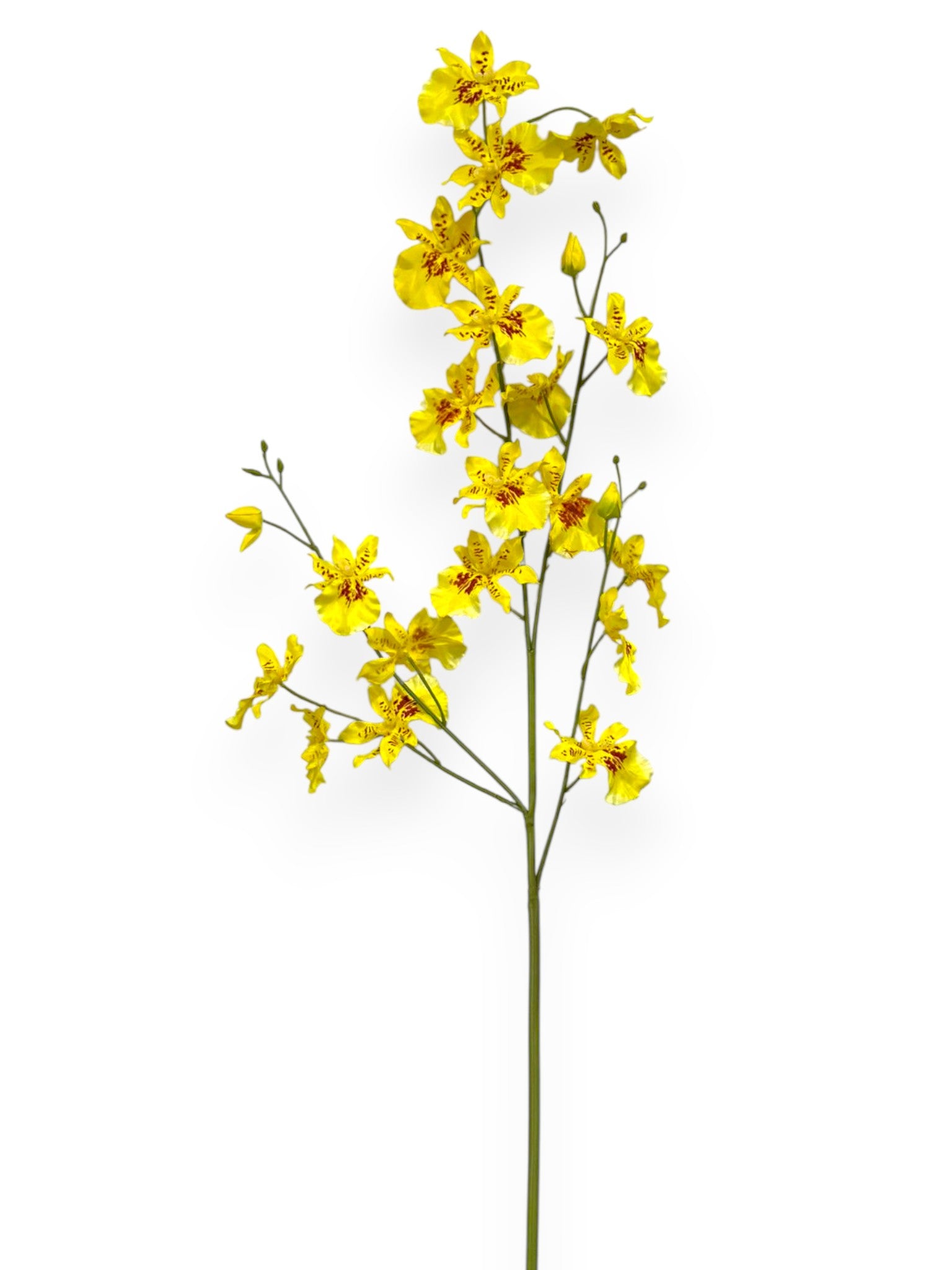 Orchid Dancing Spray 33"