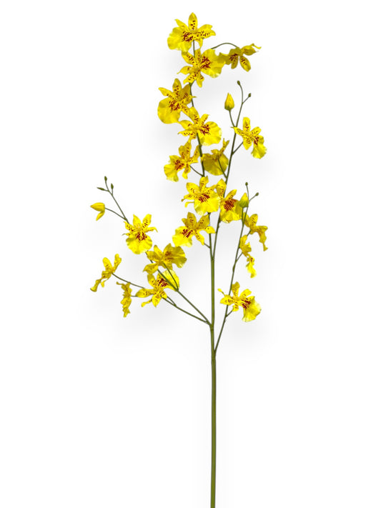 Orchid Dancing Spray 33"