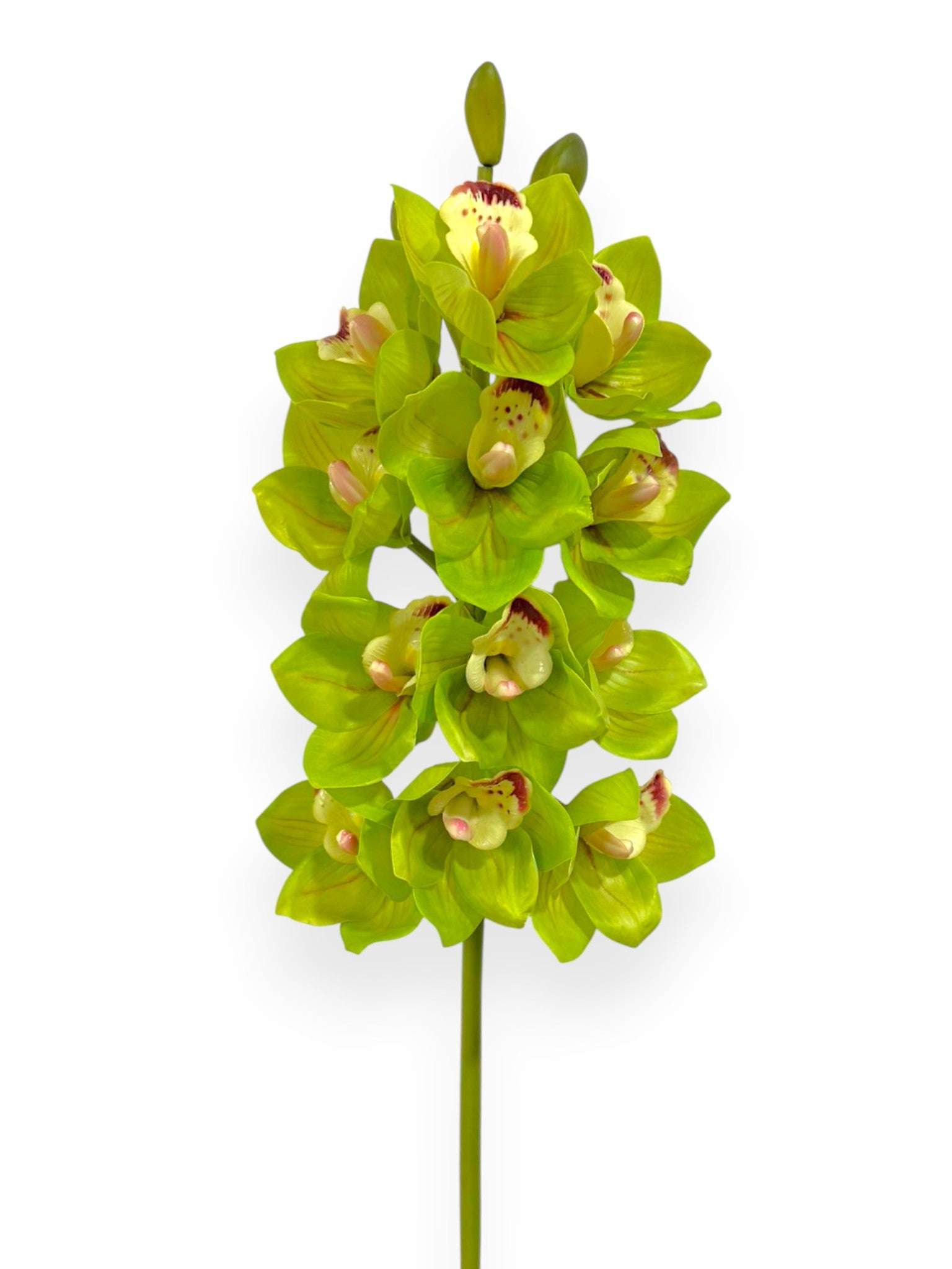 Cymbidium Orchid Stem 27"