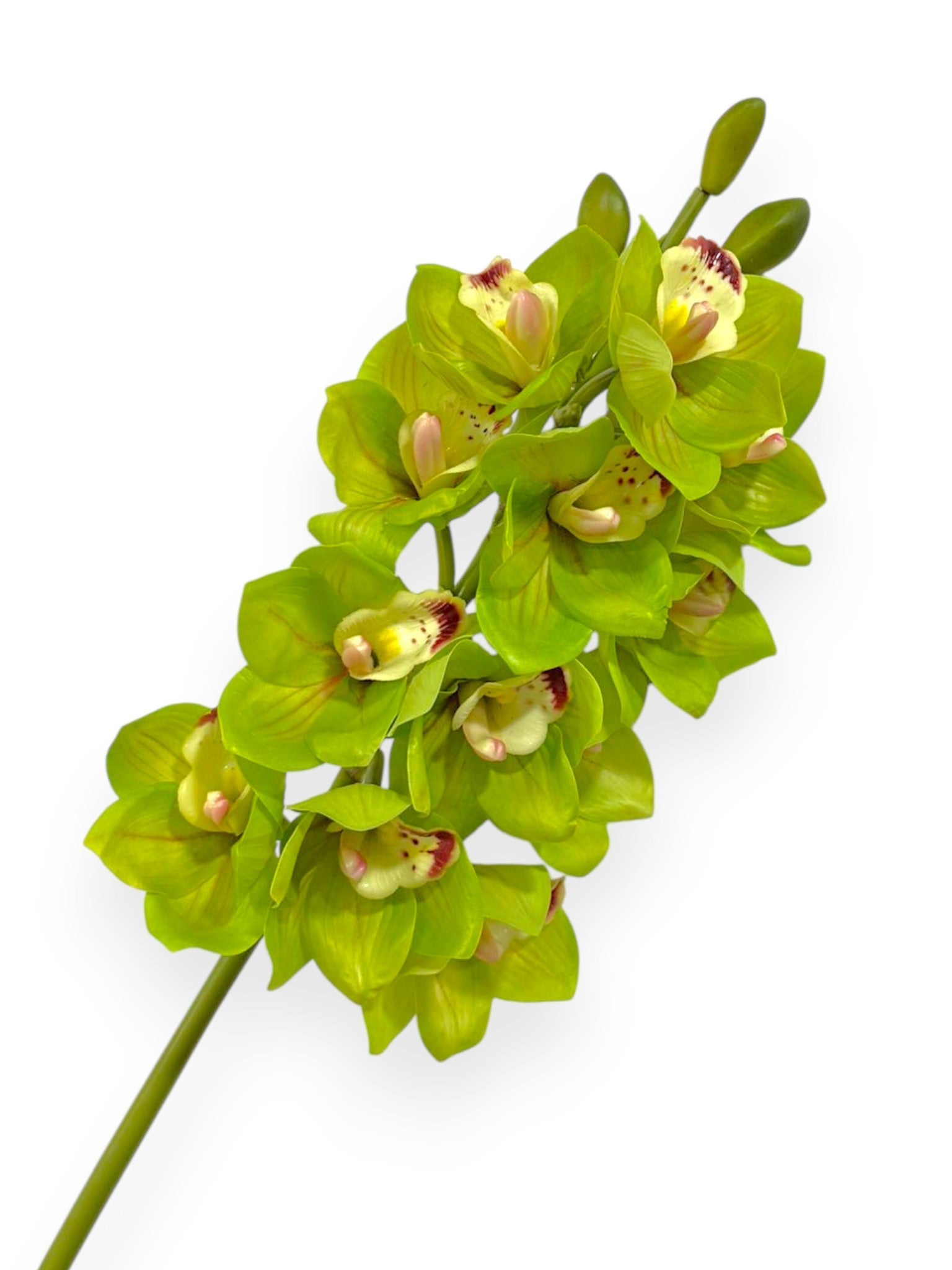 Cymbidium Orchid Stem 27"