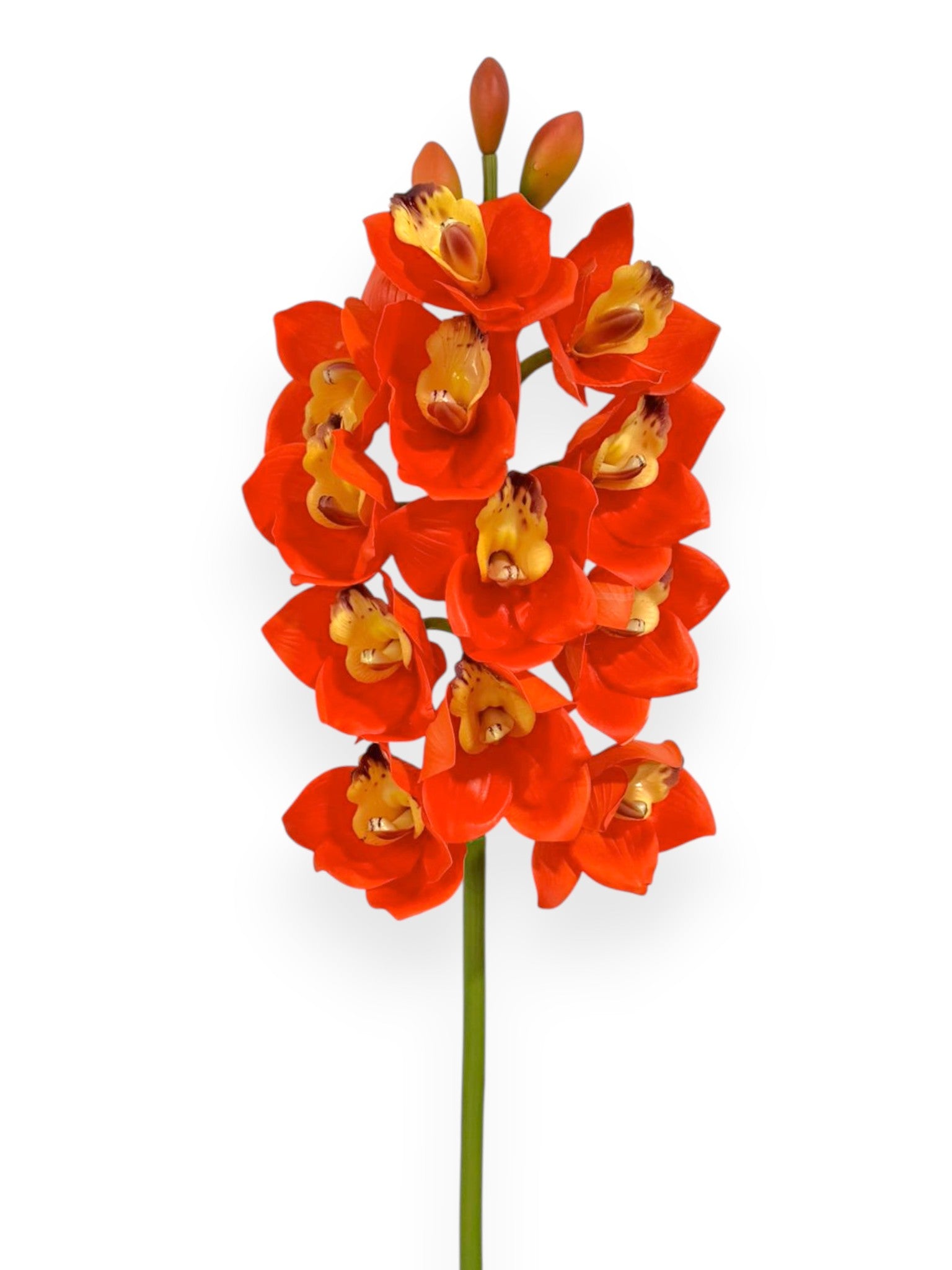Cymbidium Orchid Stem 27"