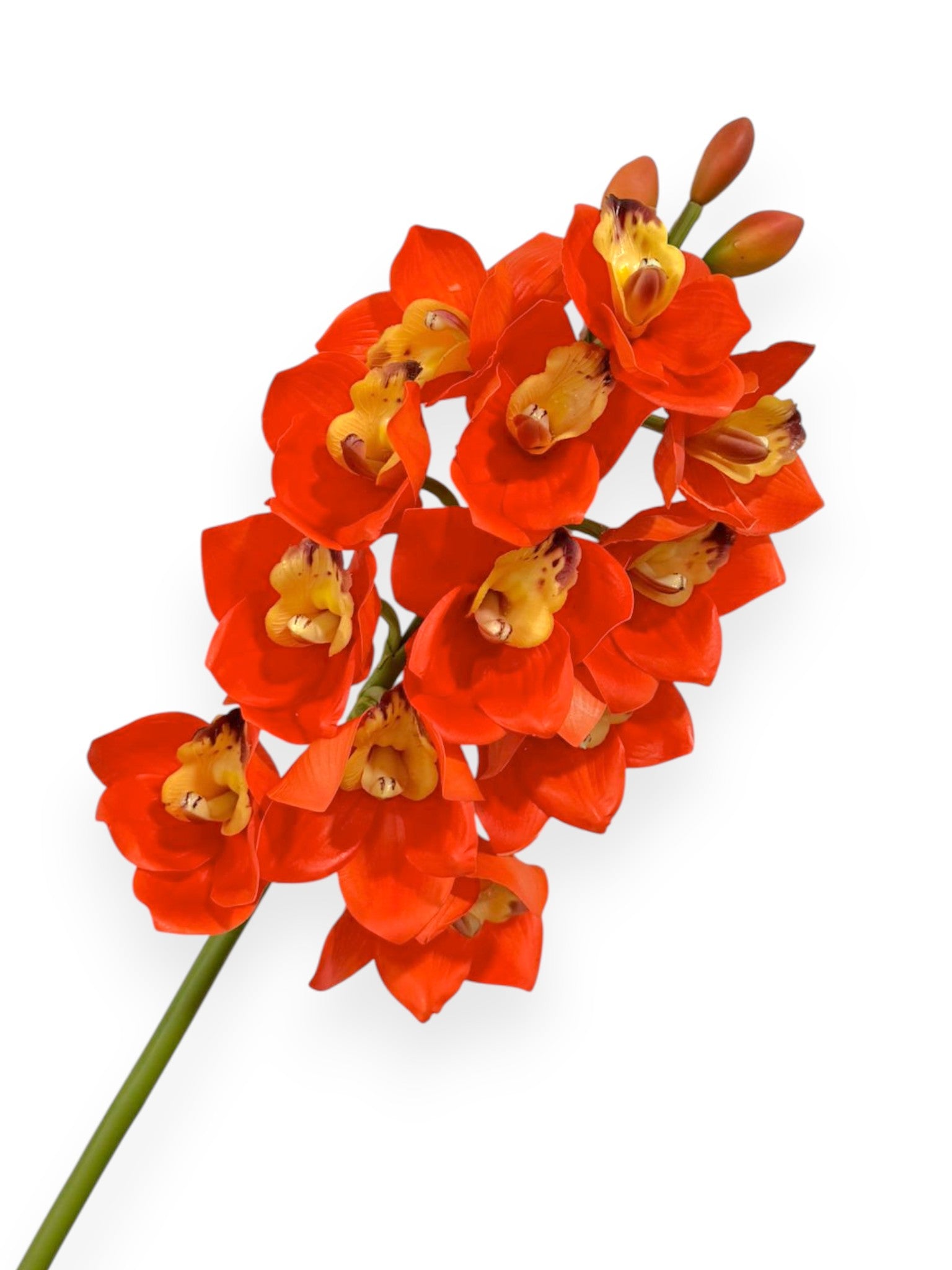 Cymbidium Orchid Stem 27"