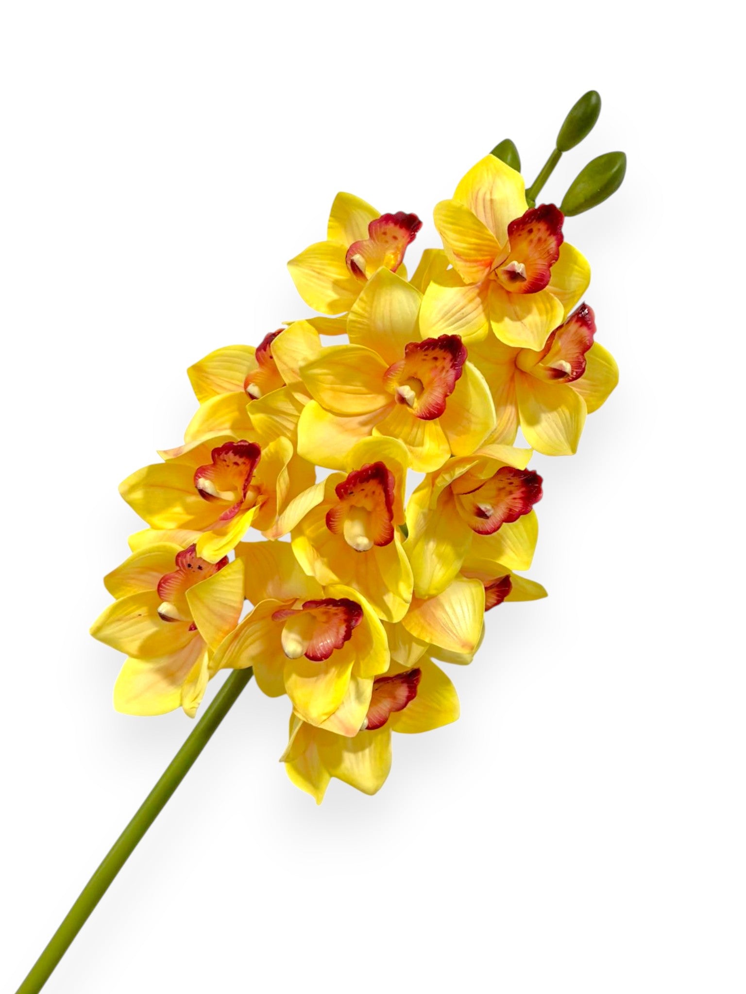 Cymbidium Orchid Stem 27"