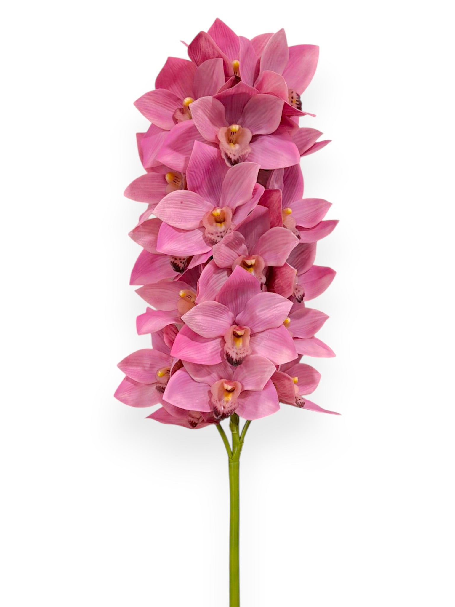 Cymbidium Orchid Stem 42"
