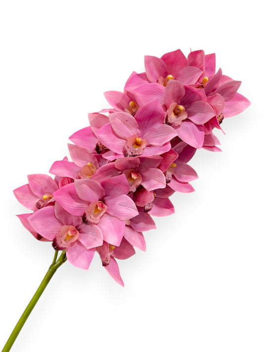 Cymbidium Orchid Stem 42"