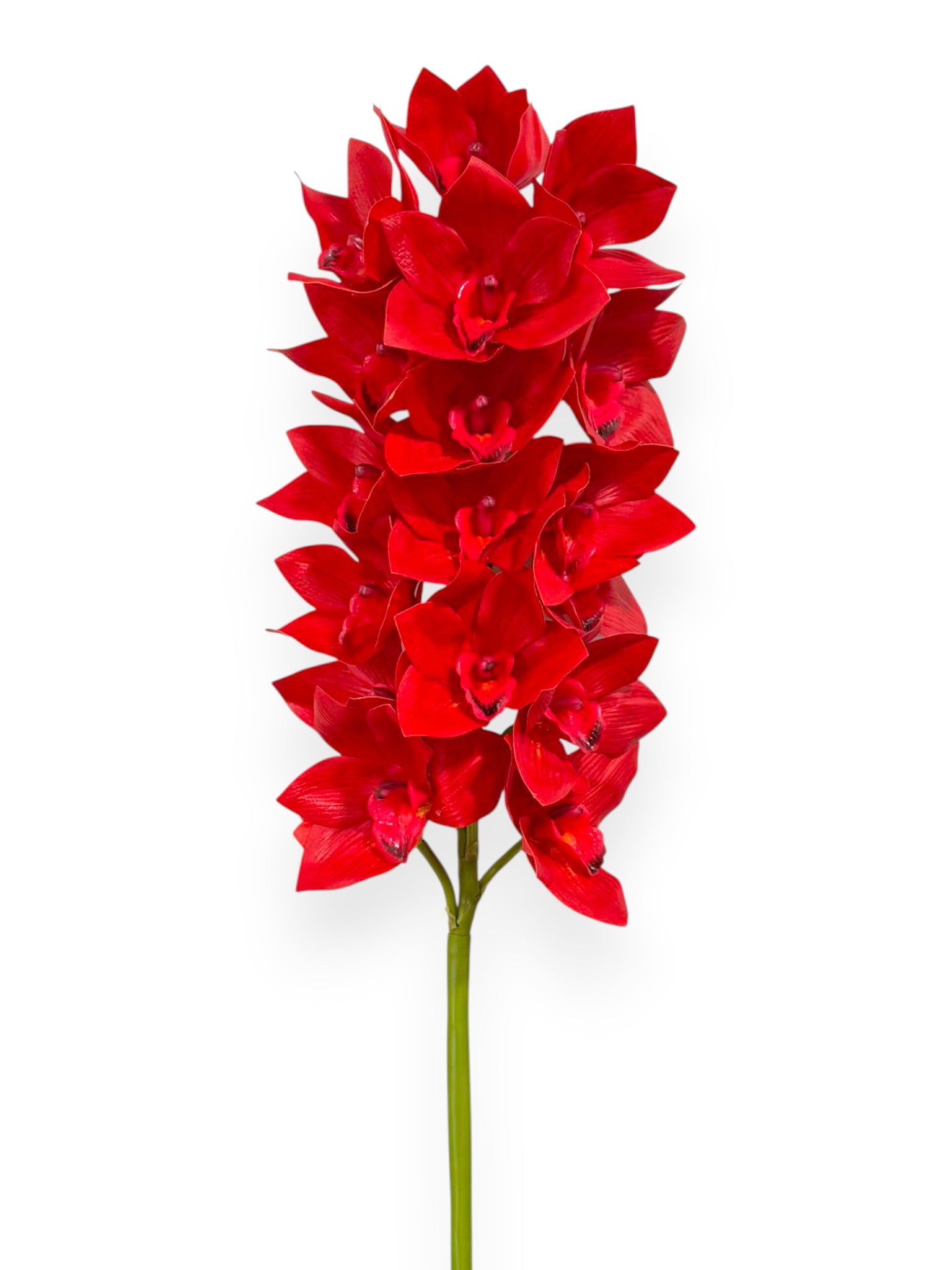 Cymbidium Orchid Stem 42"