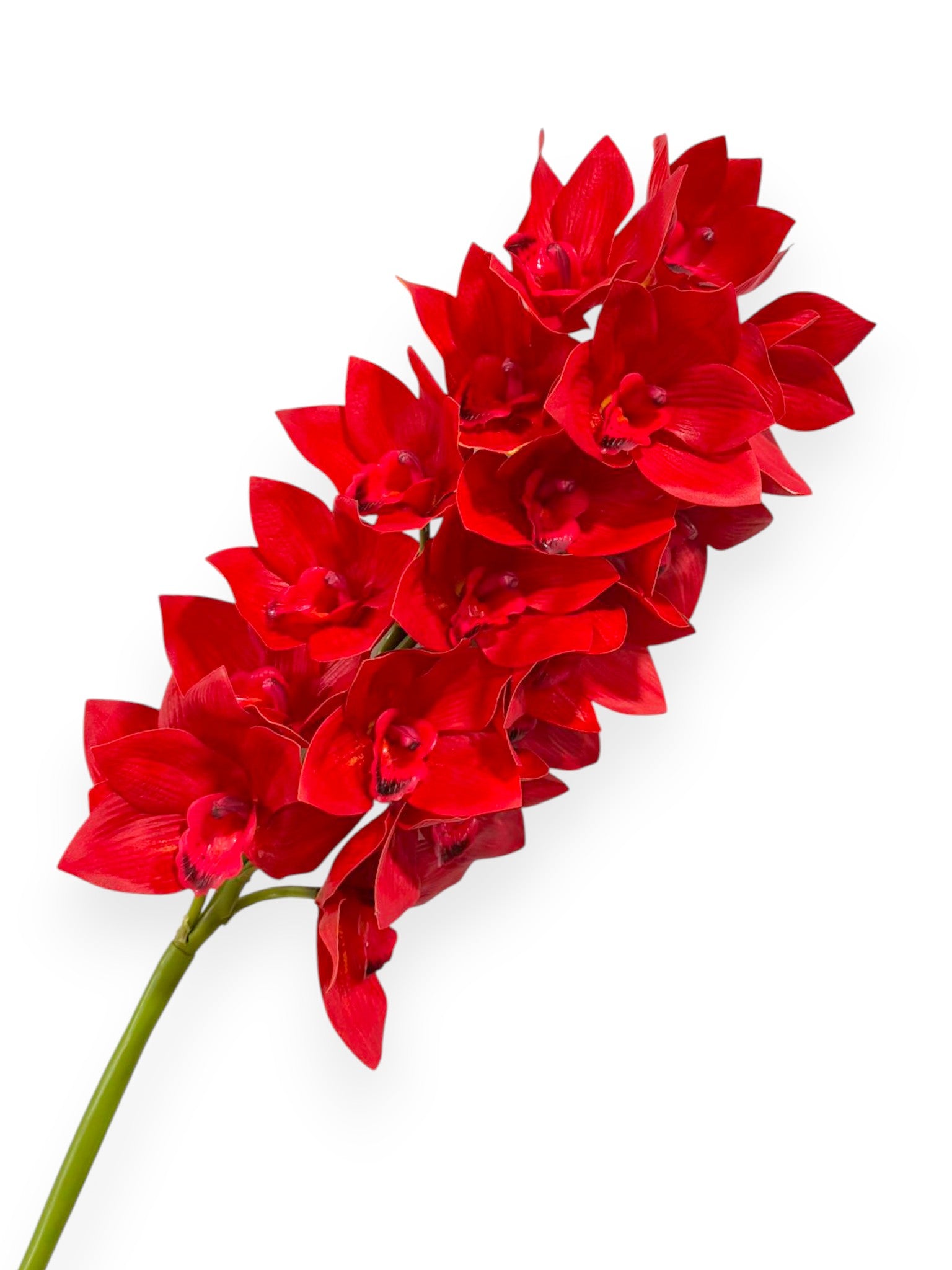 Cymbidium Orchid Stem 42"