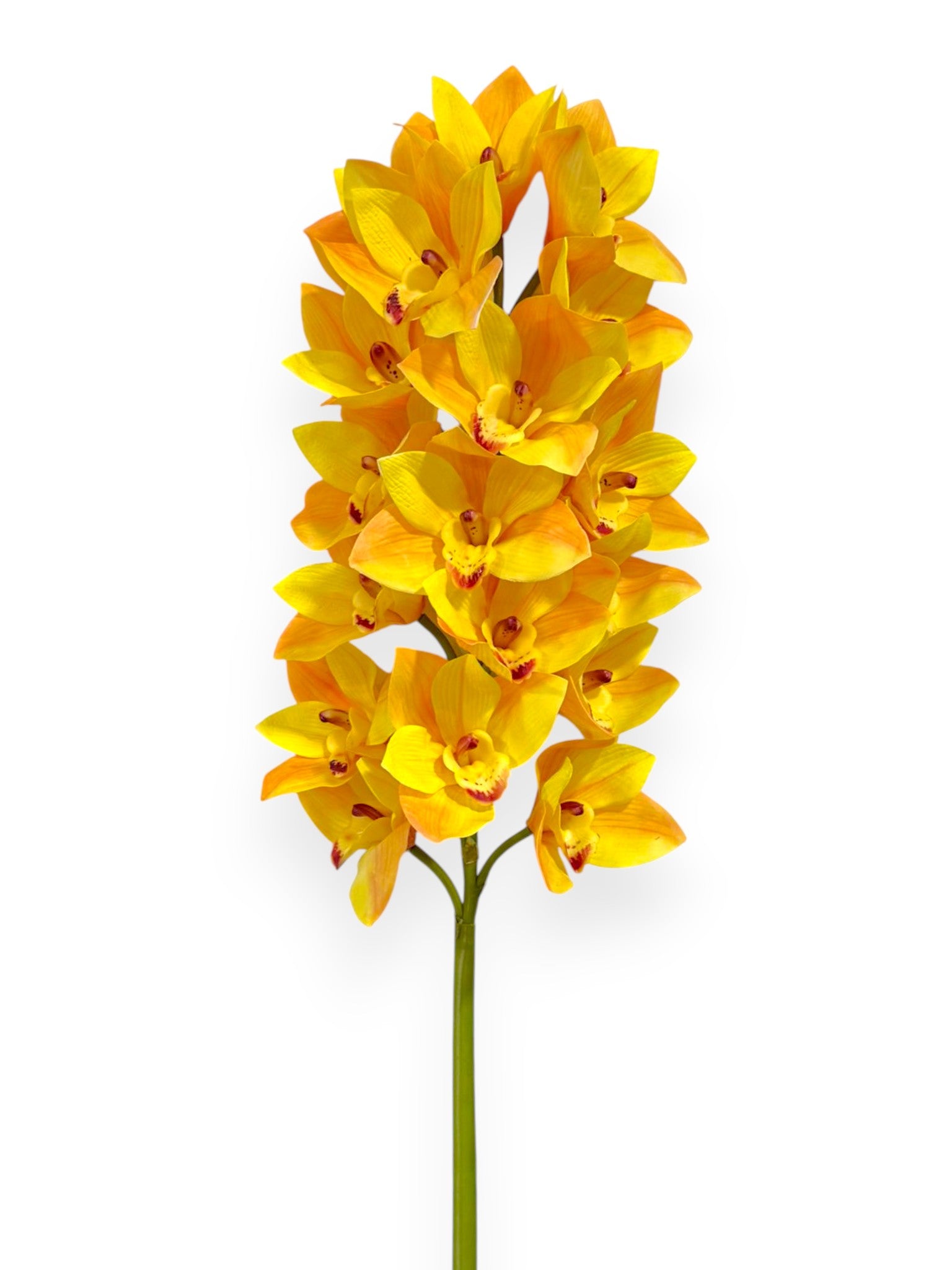 Cymbidium Orchid Stem 42"