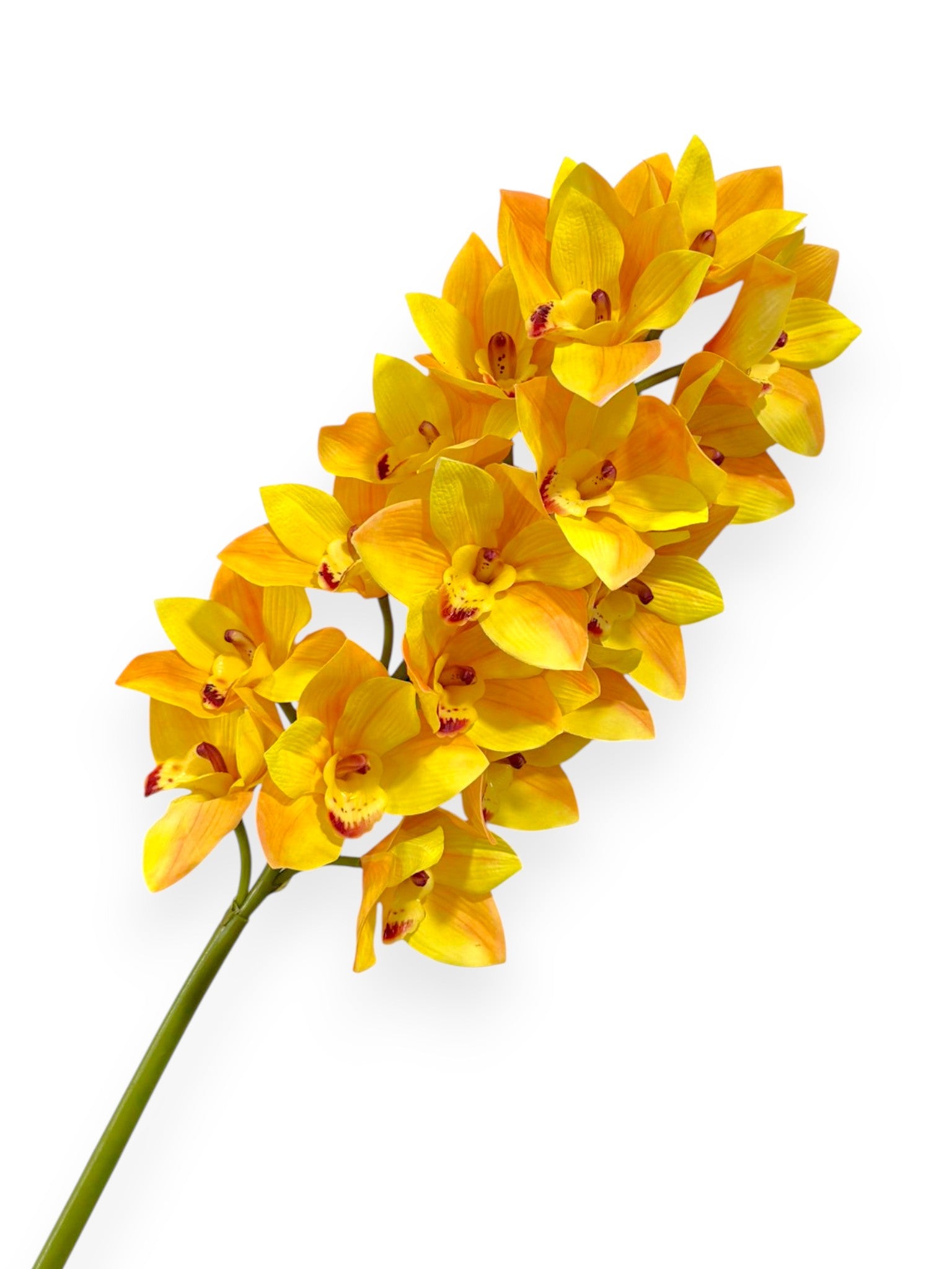 Cymbidium Orchid Stem 42"