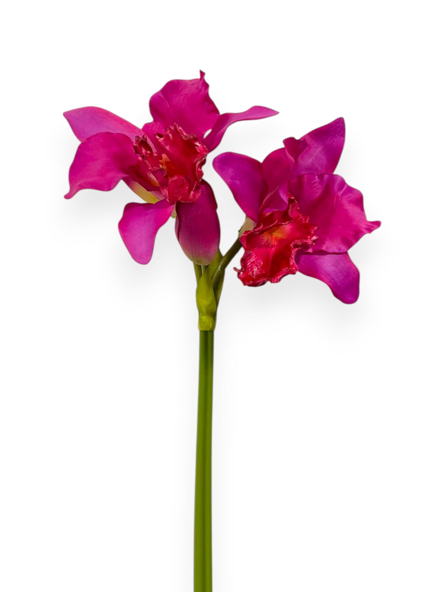 Cattleya Orchid 22"