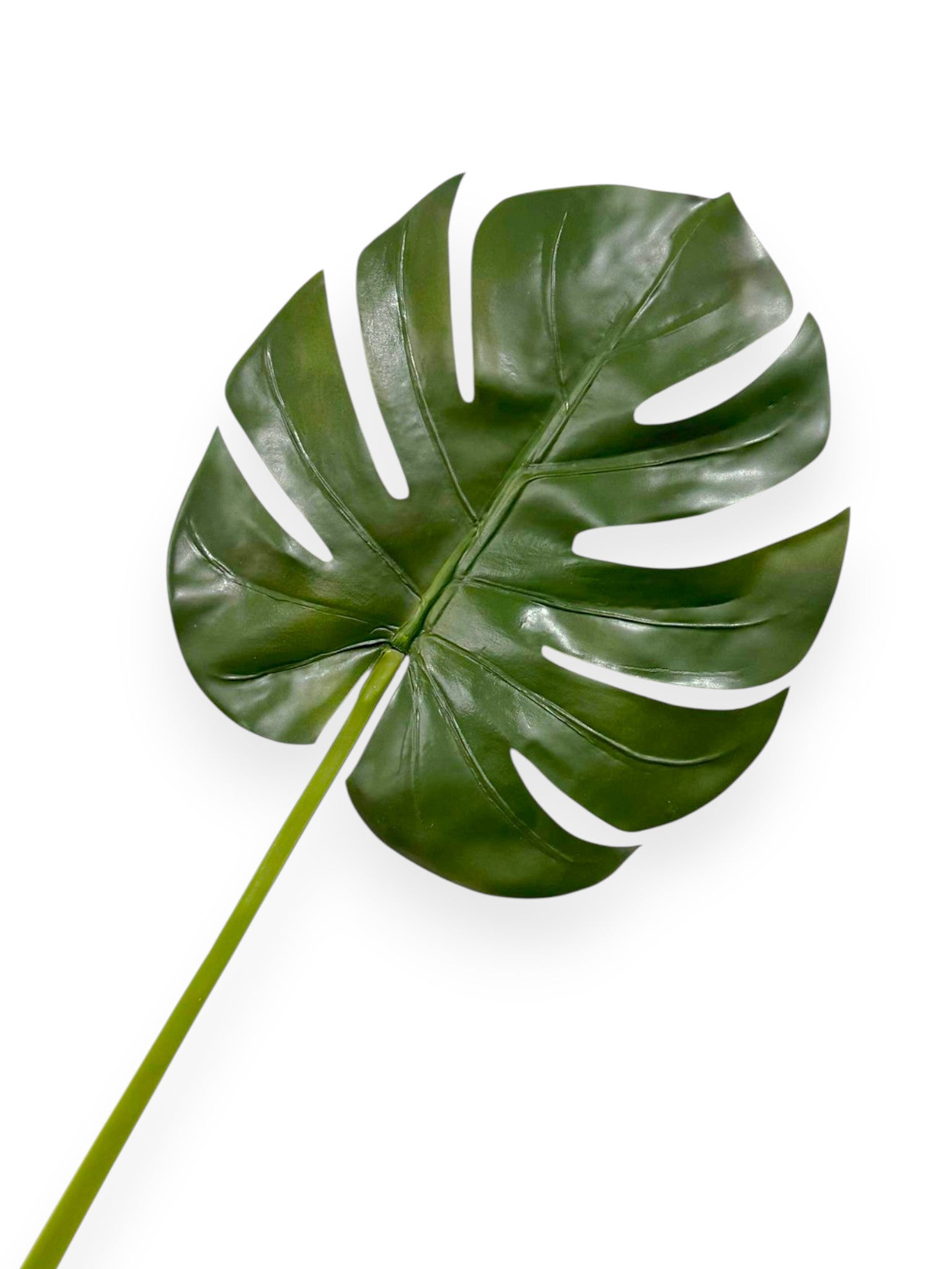 Split Philodendron Leaf 33"
