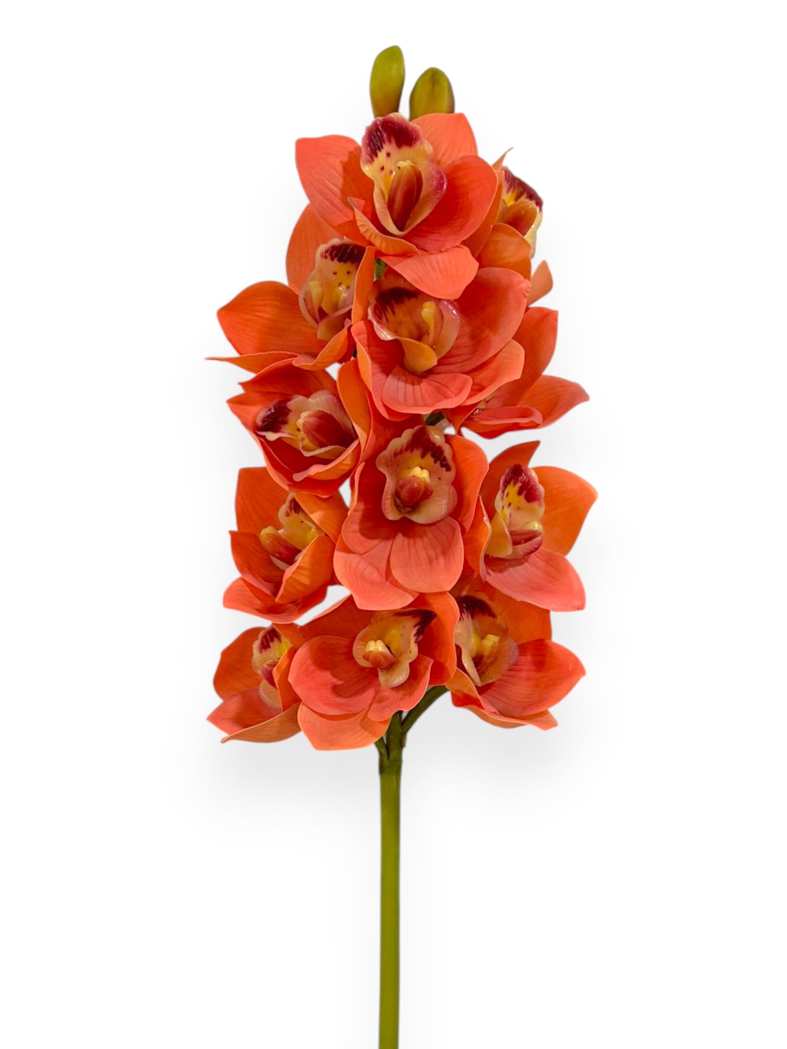 Cymbidium Orchid Stem 27"