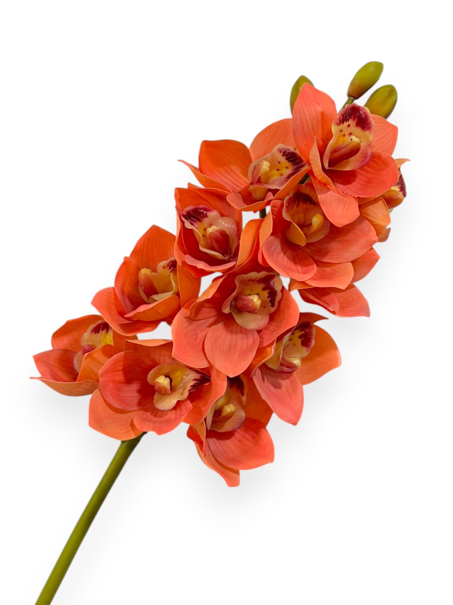 Cymbidium Orchid Stem 27"