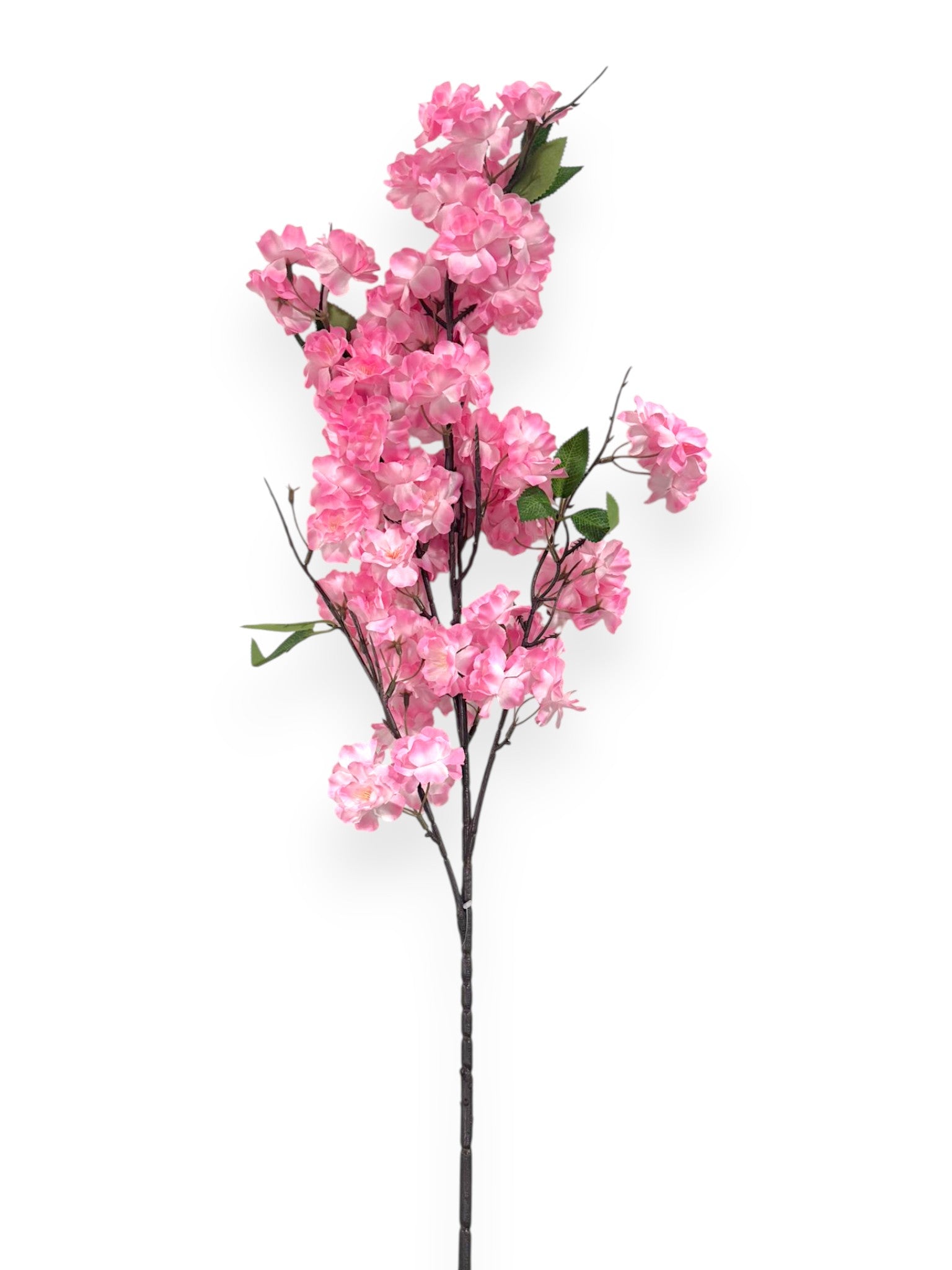 Blossoms – Chan's Silk Flowers, inc